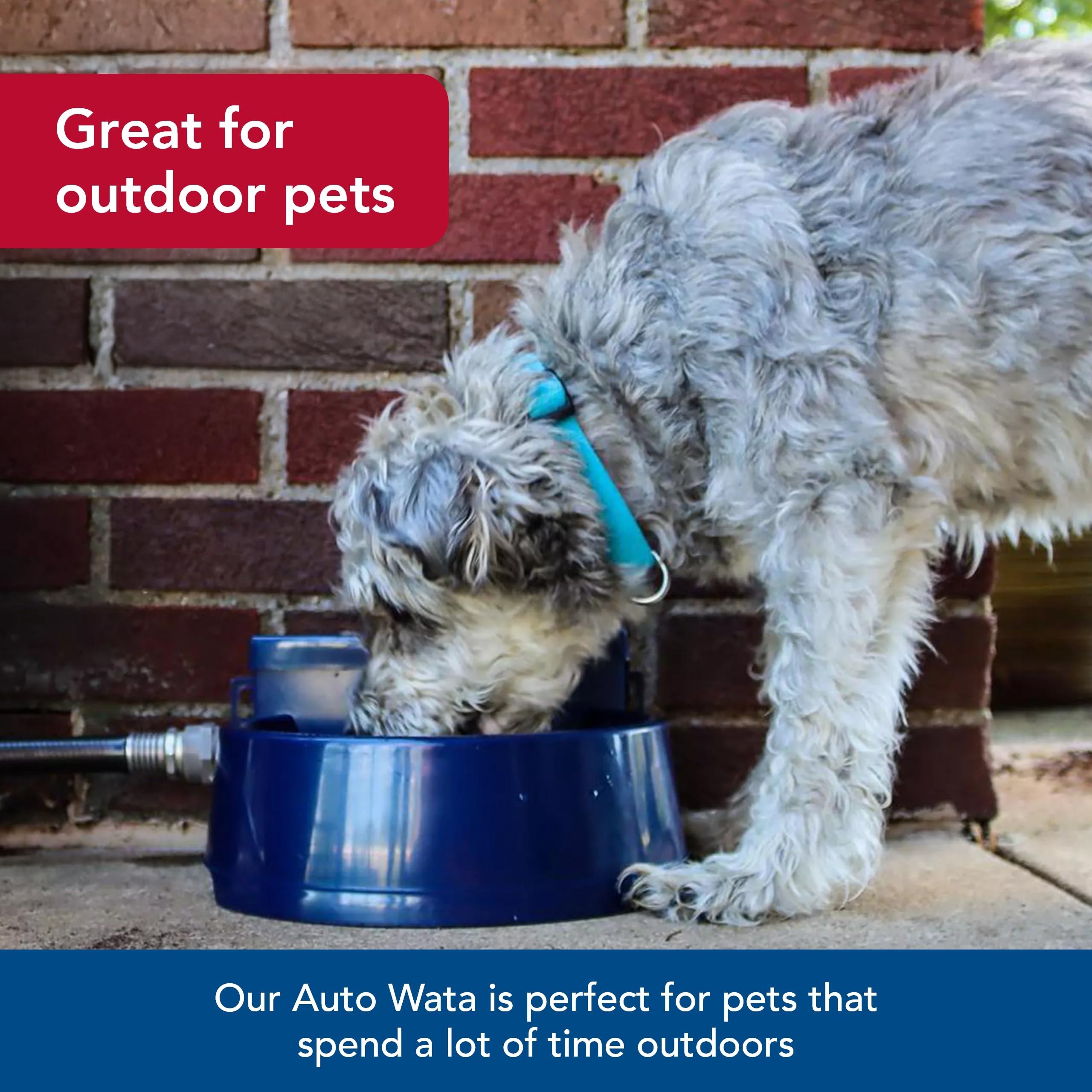 Coastal Pet Bergan Auto-Wata - Outdoor Dog & Cat Water Dispenser - Automatic Water Bowl For Pets - Made From Durable, Bpa-Free Plastic - Self-Watering Cat & Dog Bowl - Navy, 48 Ounces