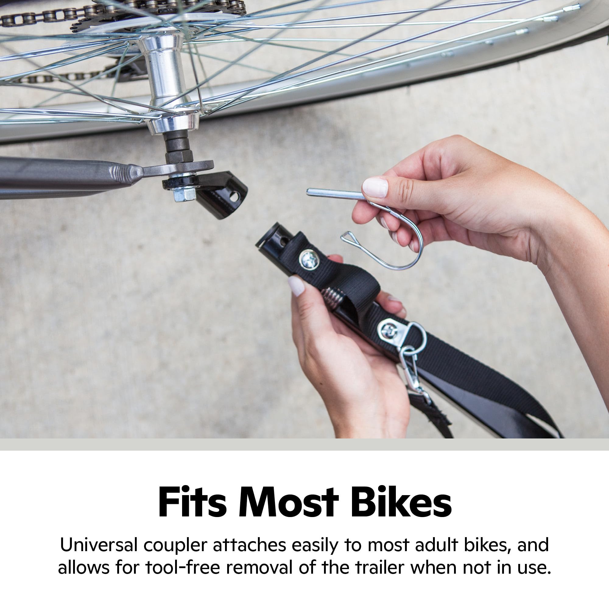 Schwinn 13-SC315 Rascal Bike Pet Trailer, For Small and Large Dogs, Lightweight, Tow with Bicycle, Up to 50 lbs. Small, Orange/G