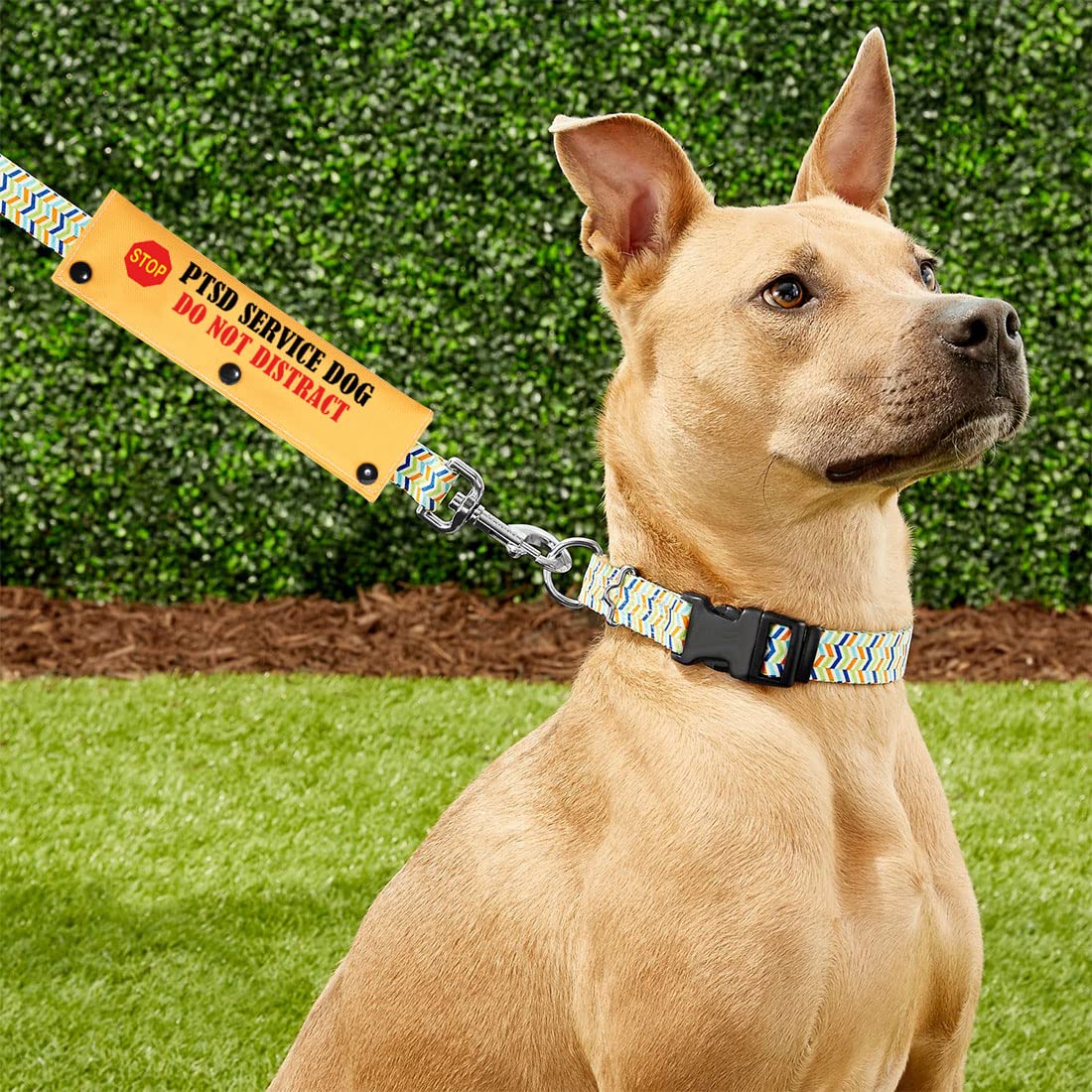Pwhaoo Ptsd Service Dog Do Not Distract Alert Dog Leash Wrap Ptsd Service Dog Leash Sleeve Ptsd Assistance Dog Alert Gift (Ptsd