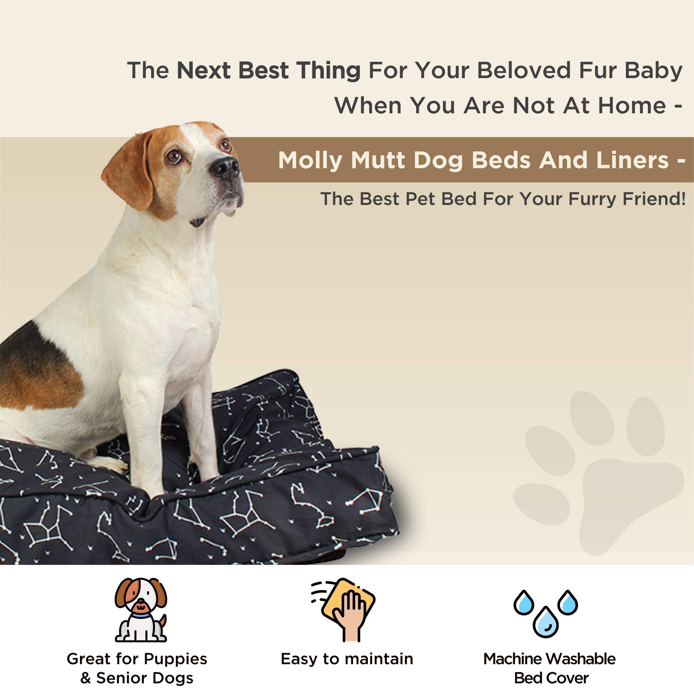 Molly Mutt Medium To Large Dog Bed Cover - Rocketman Print - Measures 27”X36”X5’’ - 100% Cotton - Durable - Breathable - Sustainable - Machine Washable Dog Bed Cover