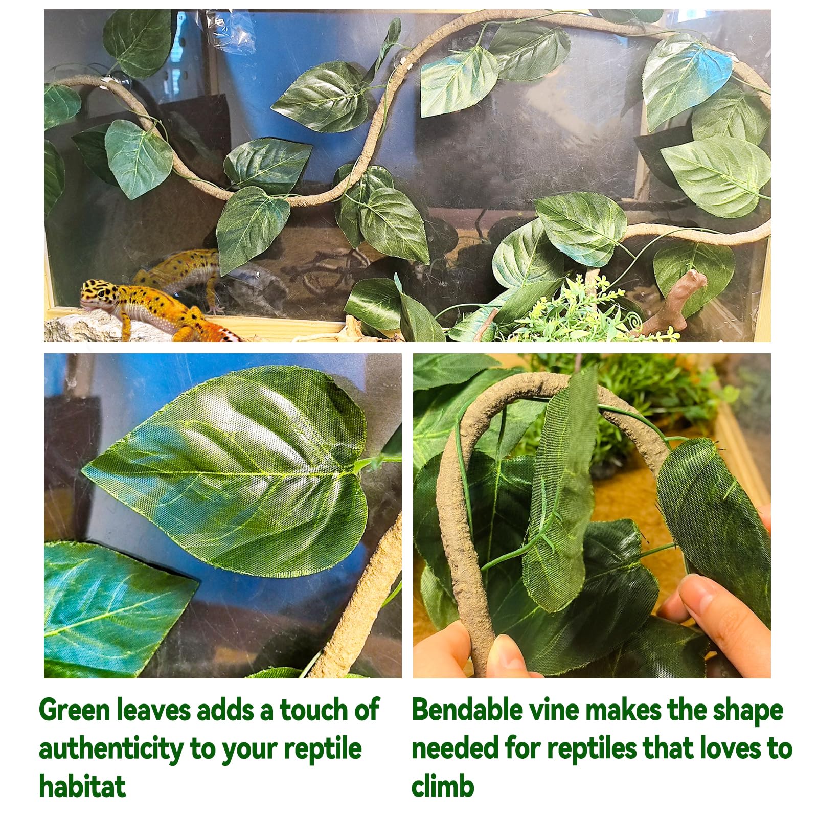 Tfwadmx Crested Gecko Coconut Hide,Leopard Gecko Coco Hut Hideout Cave With Ladder,Reptile Hanging Coconut Hut & Climbing Vine,Ideal Habitat Accessory For Hermit Crab, Snake,Lizard