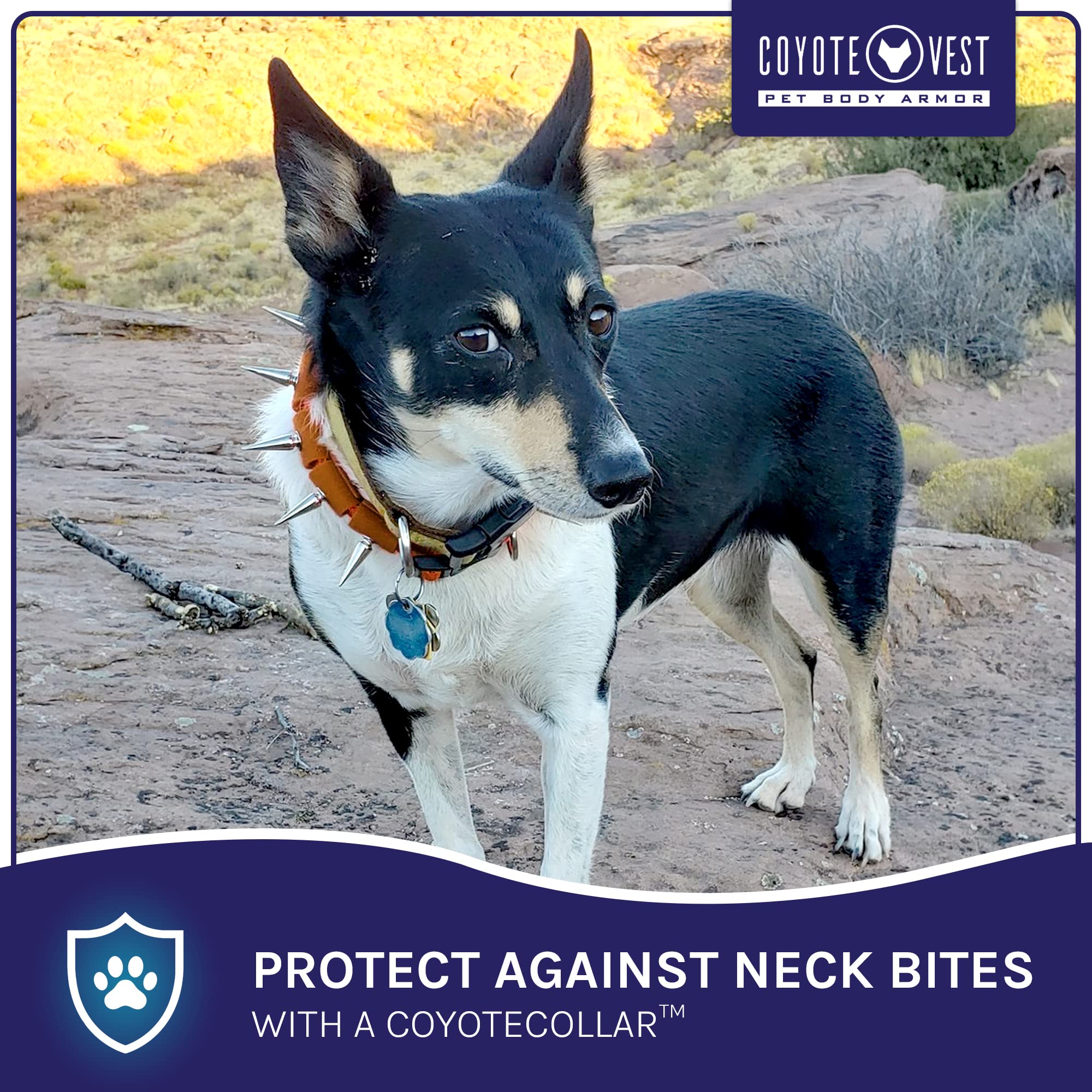 Coyotecollar Medium Spike Collar - Brown Adjustable Studded Collar For Dogs, Protection Against Coyotes And Aggressive Dogs