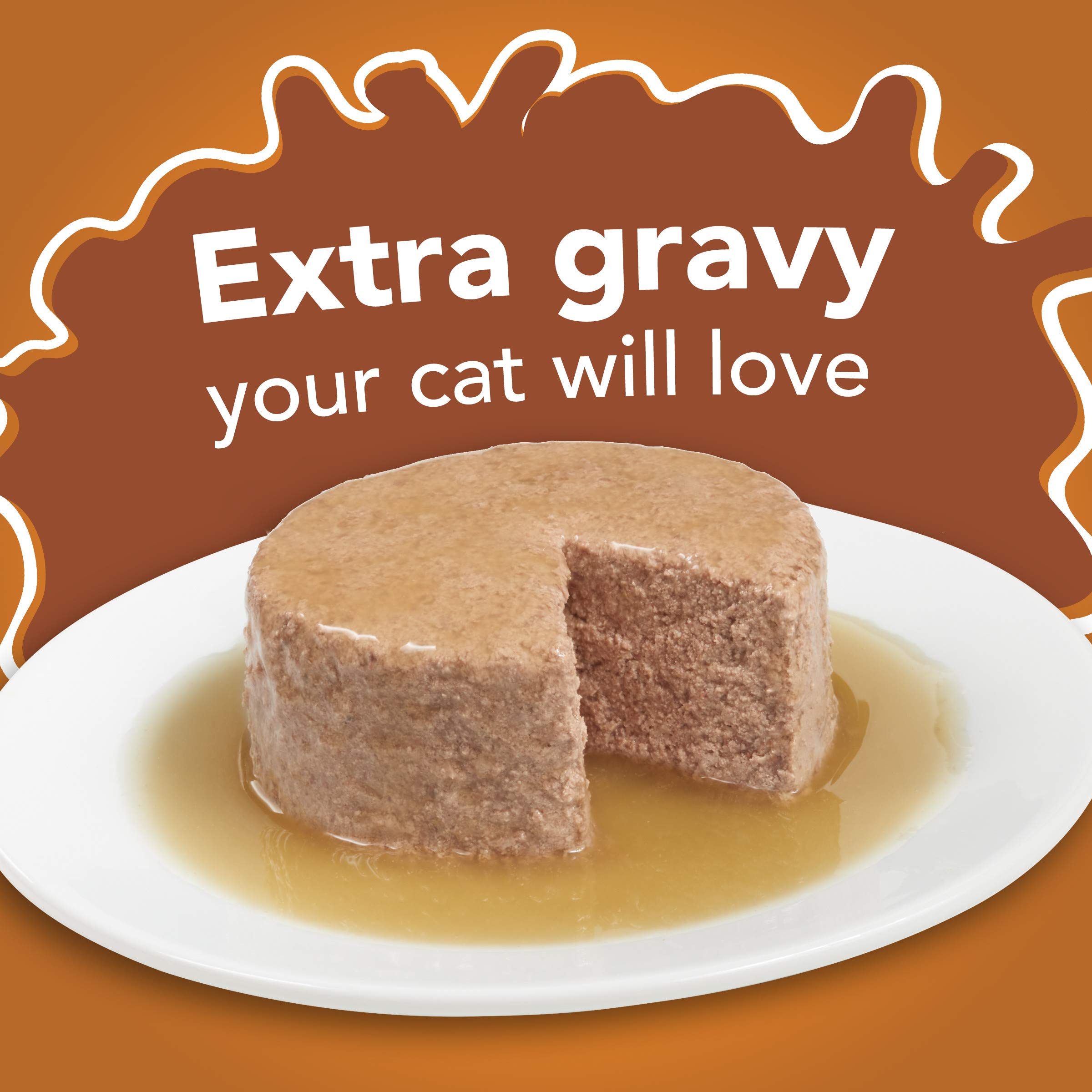 Purina Friskies Gravy Pate, Wet Cat Food Extra Gravy Pate With Chicken in Savory - (Pack of 24) 5.5 oz. Cans