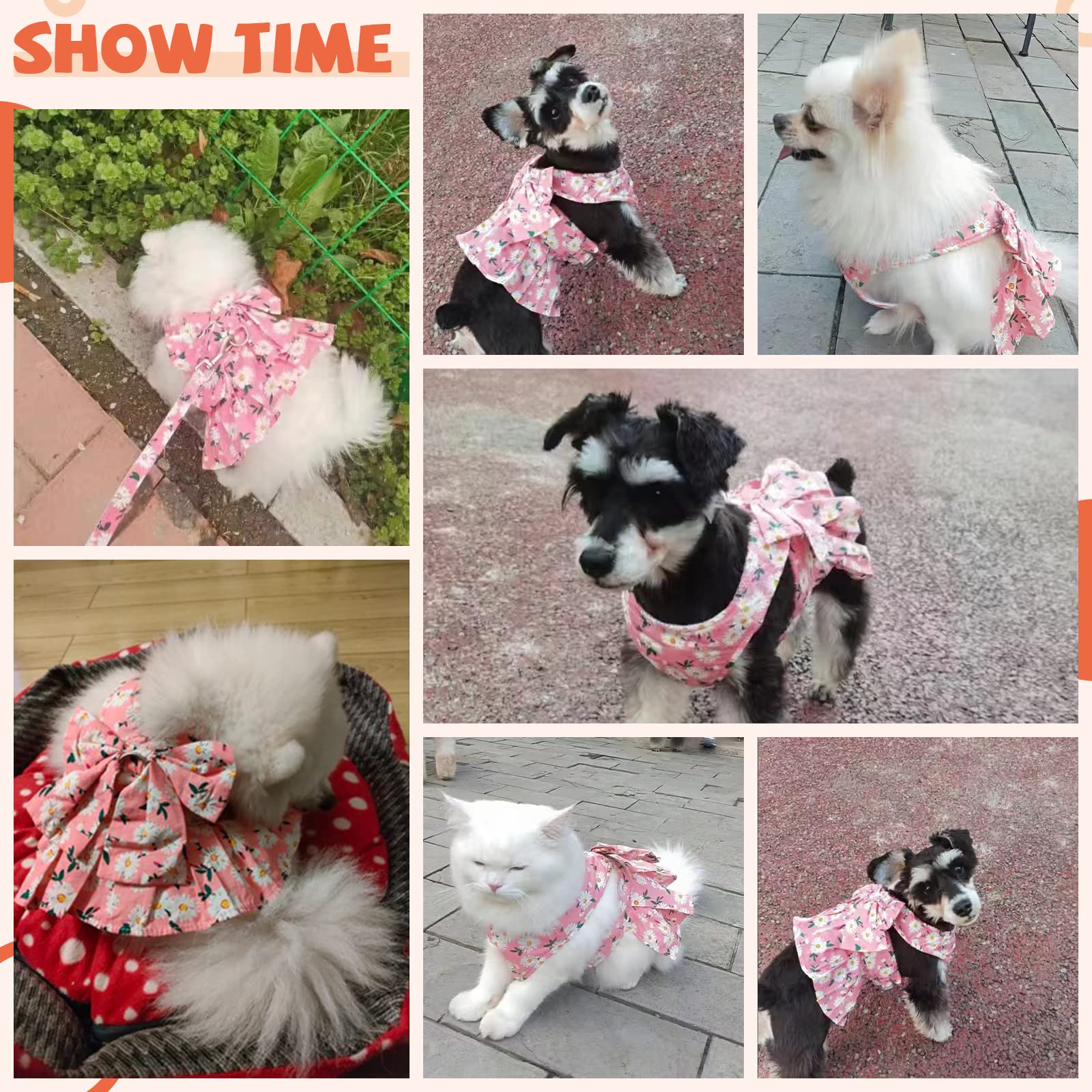 Baejmjk Dog Dress Bowknot Harness Leash Set For Small Dogs Cats Daisy Floral Girl Dog Dresses Cute Puppy Princess Clothes Pet Do