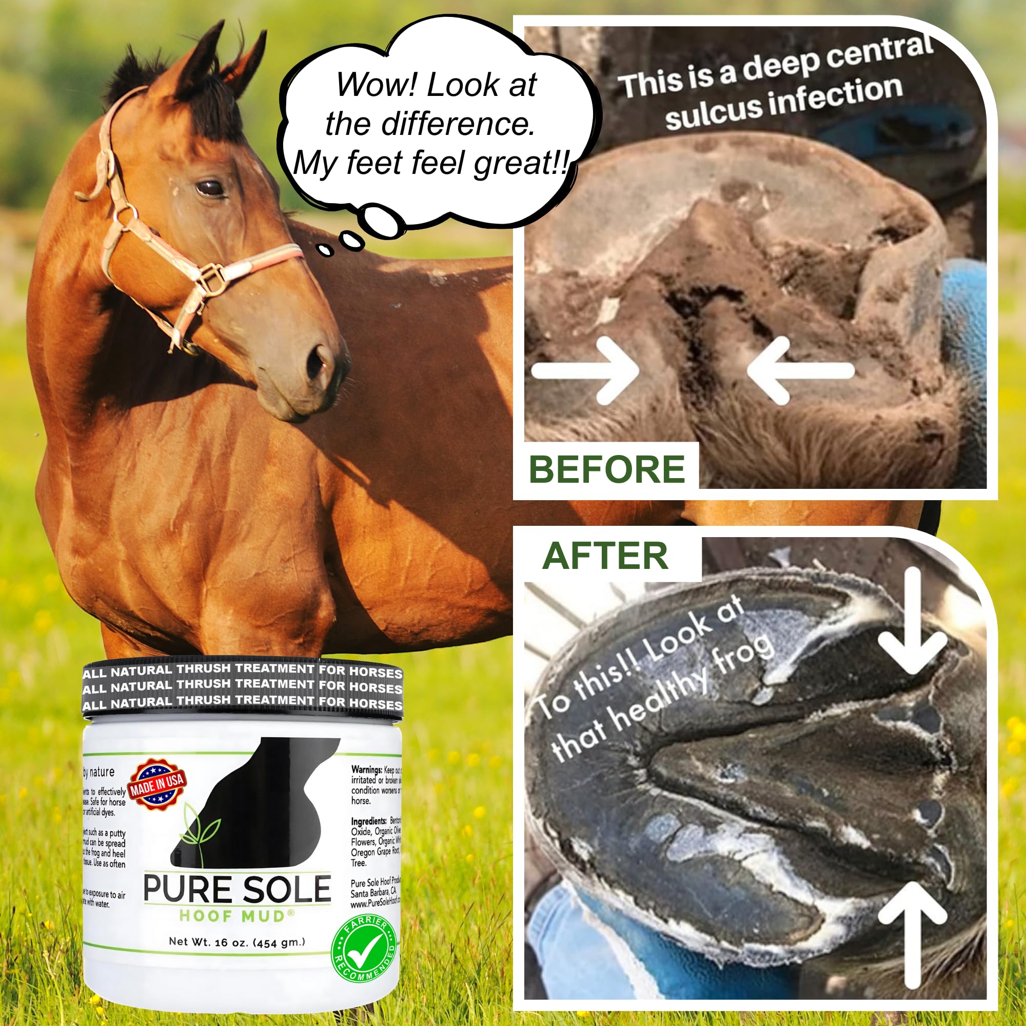 Hoof Clay Thrush Treatment for Horses | Pure Sole Hoof Mud for White Line, Cracks, Thrush, and Hoof Packing | All Natural Horse