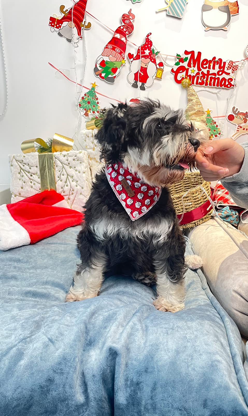 Lionet Paws Christmas Dog Bandana Washable Cotton Handkerchief Scarf Triangle Bandana for Small Medium Large Dogs Santa Claus Gi