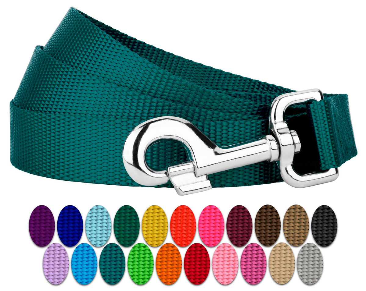 Country Brook Petz - 1 Inch Solid Color Nylon Dog Leash - Durable Clip - Soft Handle (1 Inch Wide, 6 Foot, Teal)