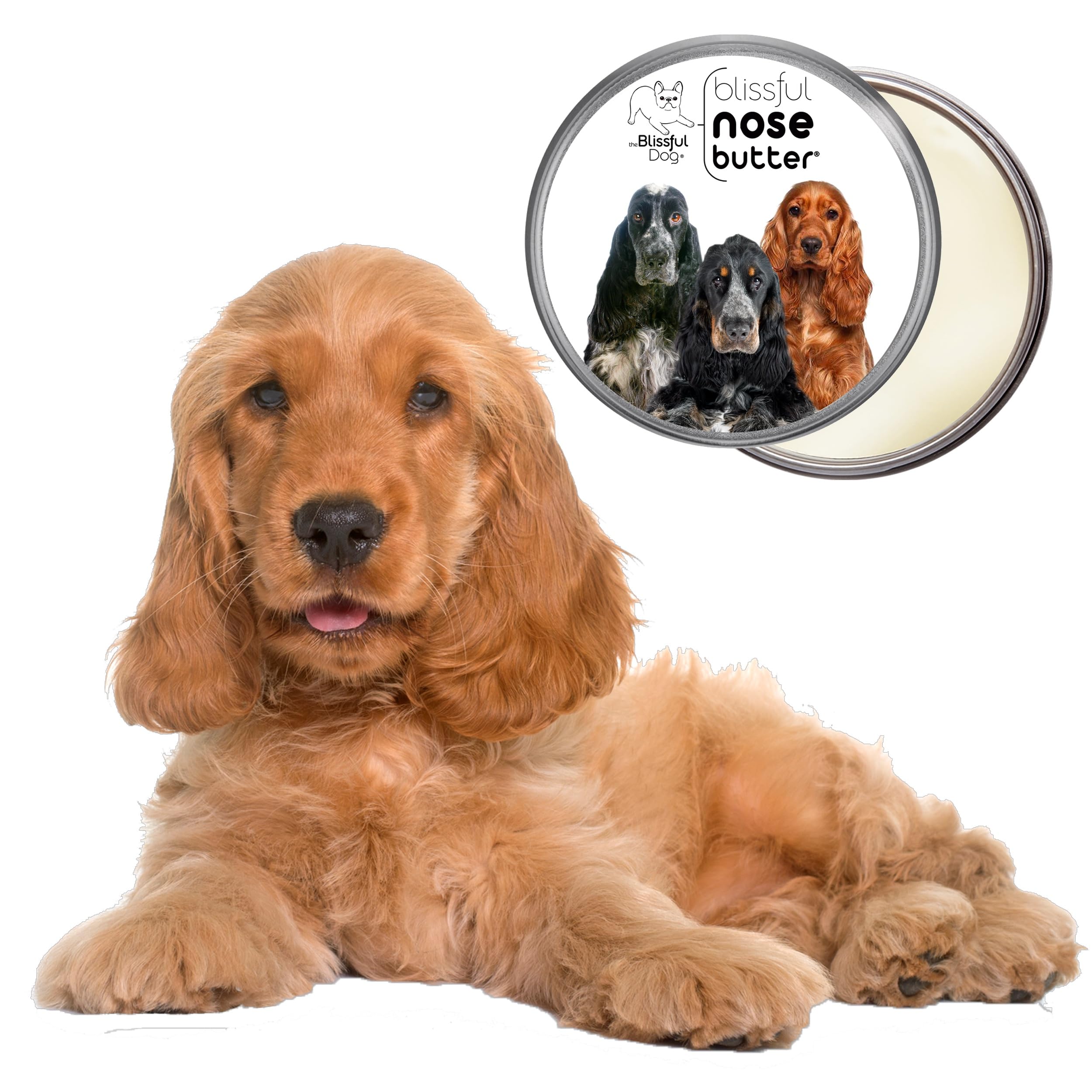 The Blissful Dog English Cocker Spaniel Unscented Nose Butter - Dog Nose Butter, 8-Ounce