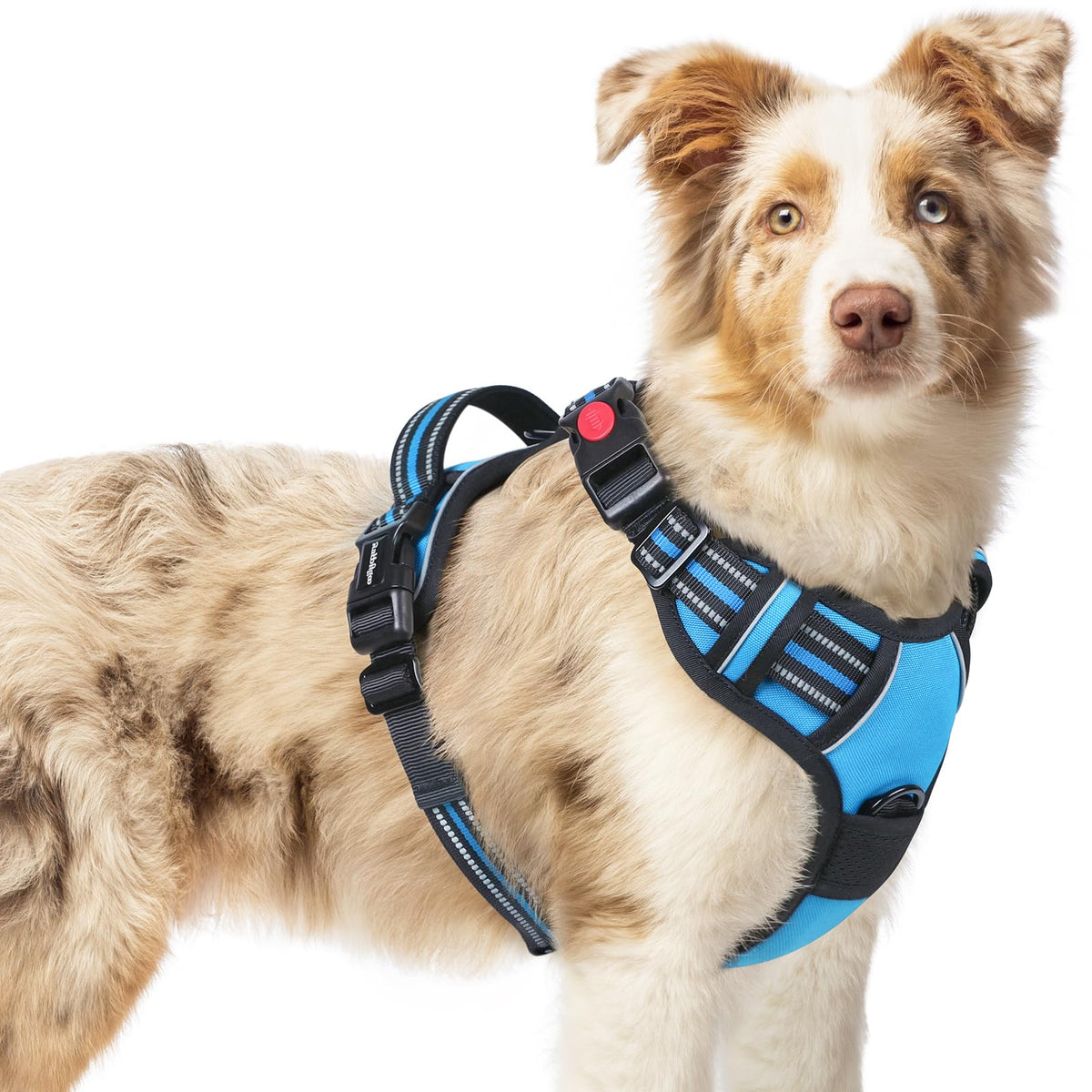 Rabbitgoo Dog Harness Medium Sized, No Pull Pet Harness With 3 Buckles, Adjustable Soft Padded Pooch Vest With Instant Control Handle, Easy Walking Reflective Pet Vest For Medium Dogs, Sky Blue, M