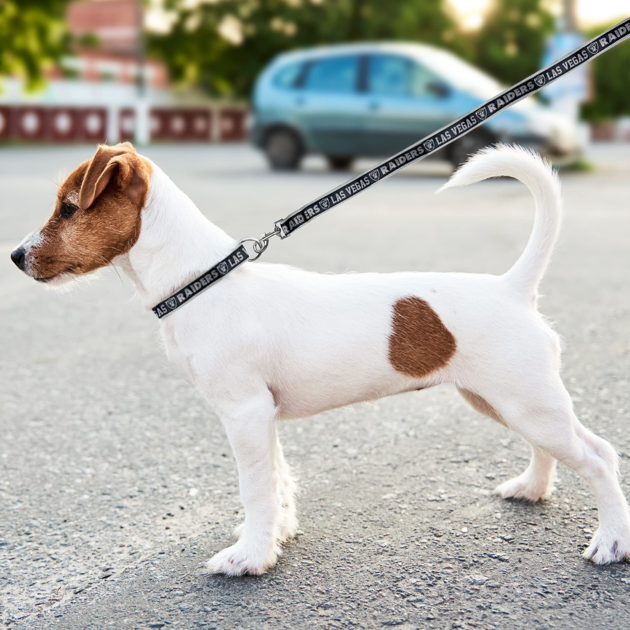 Pets First NFL Raiders Licensed PET COLLAR, Small - Heavy-Duty, Strong, and Durable Dog Collar. Available in 31 Football Teams a