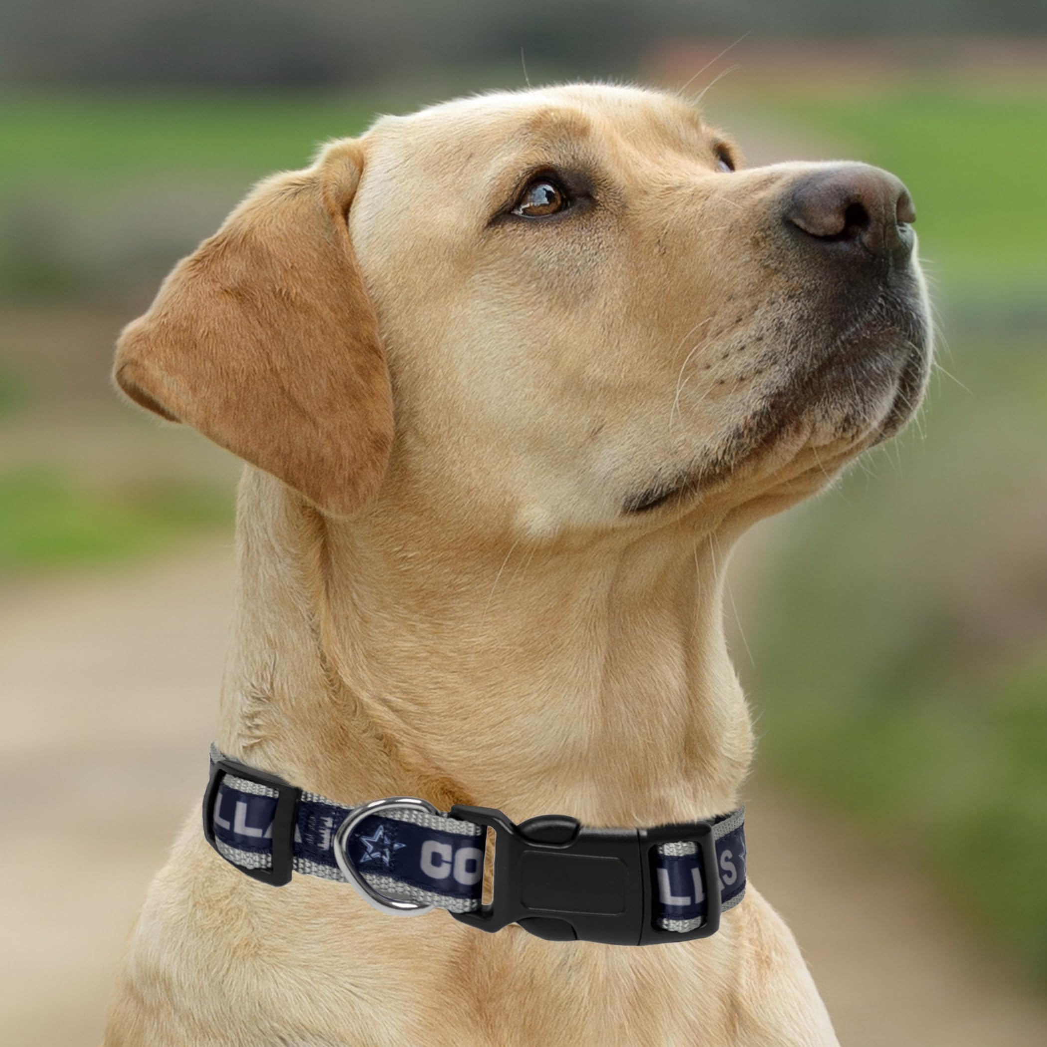 Pets First NFL Dallas Cowboys STRONG & ADJUSTABLE DOG Collar, Large