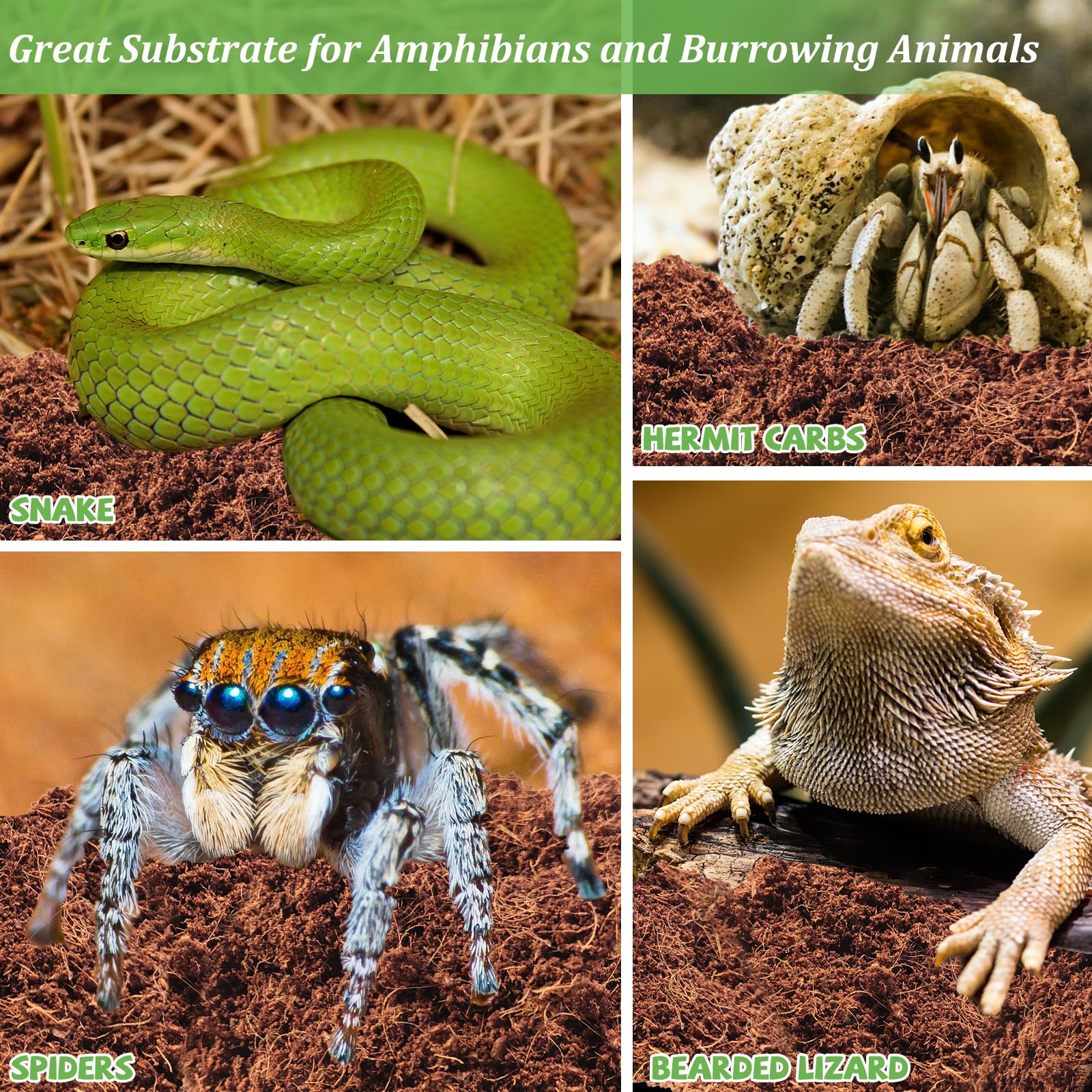 Riare 10Lbs Natural Coconut Fiber Substrate For Reptile- Premium Compressed Coconut Husk Terrarium Bedding For Reptile, Tortoise