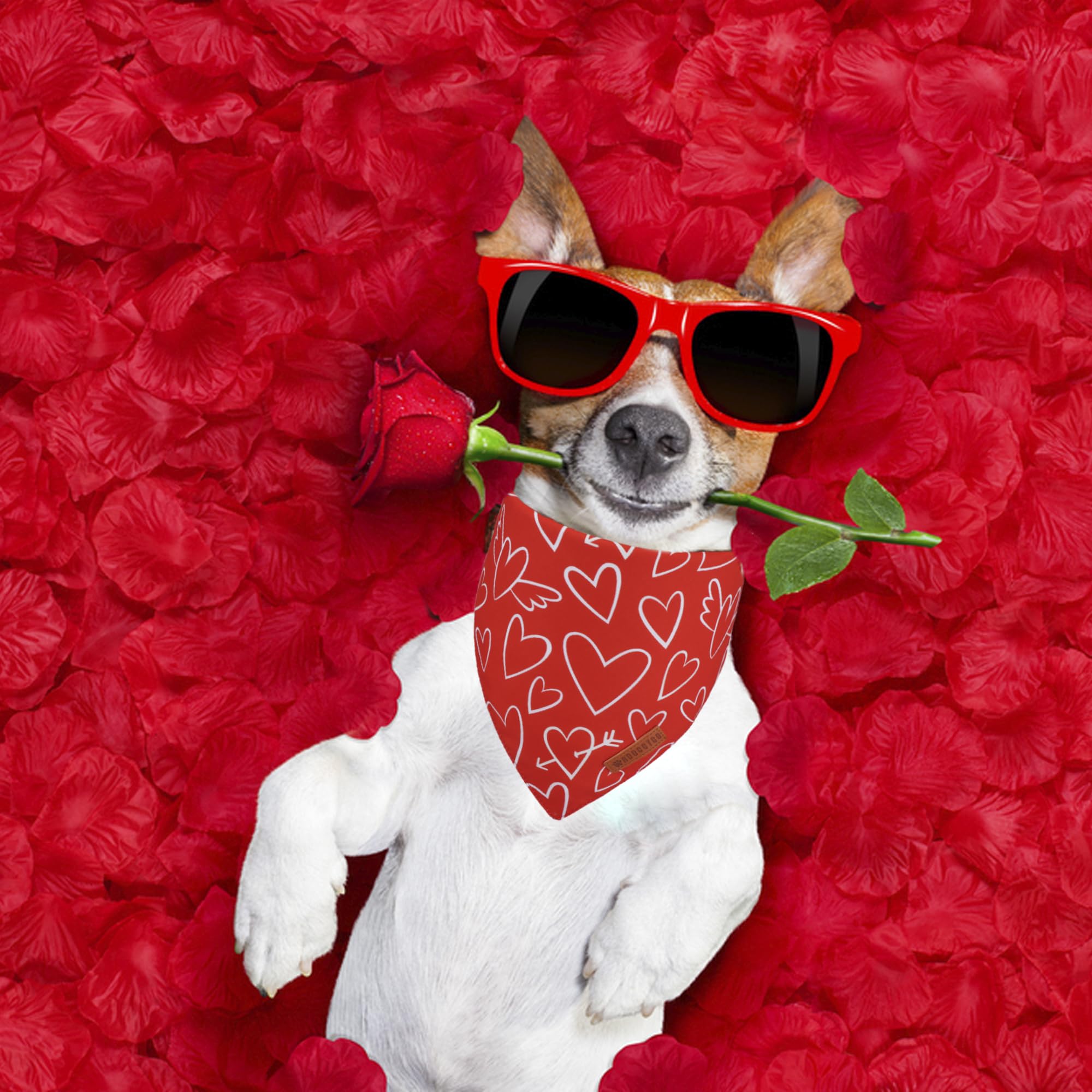 ADOGGYGO Valentine Dog Bandanas, Red Pink Heart Pet Scarf, Multi Size Offered, White Red Valentine Bandana for Medium Large Dogs