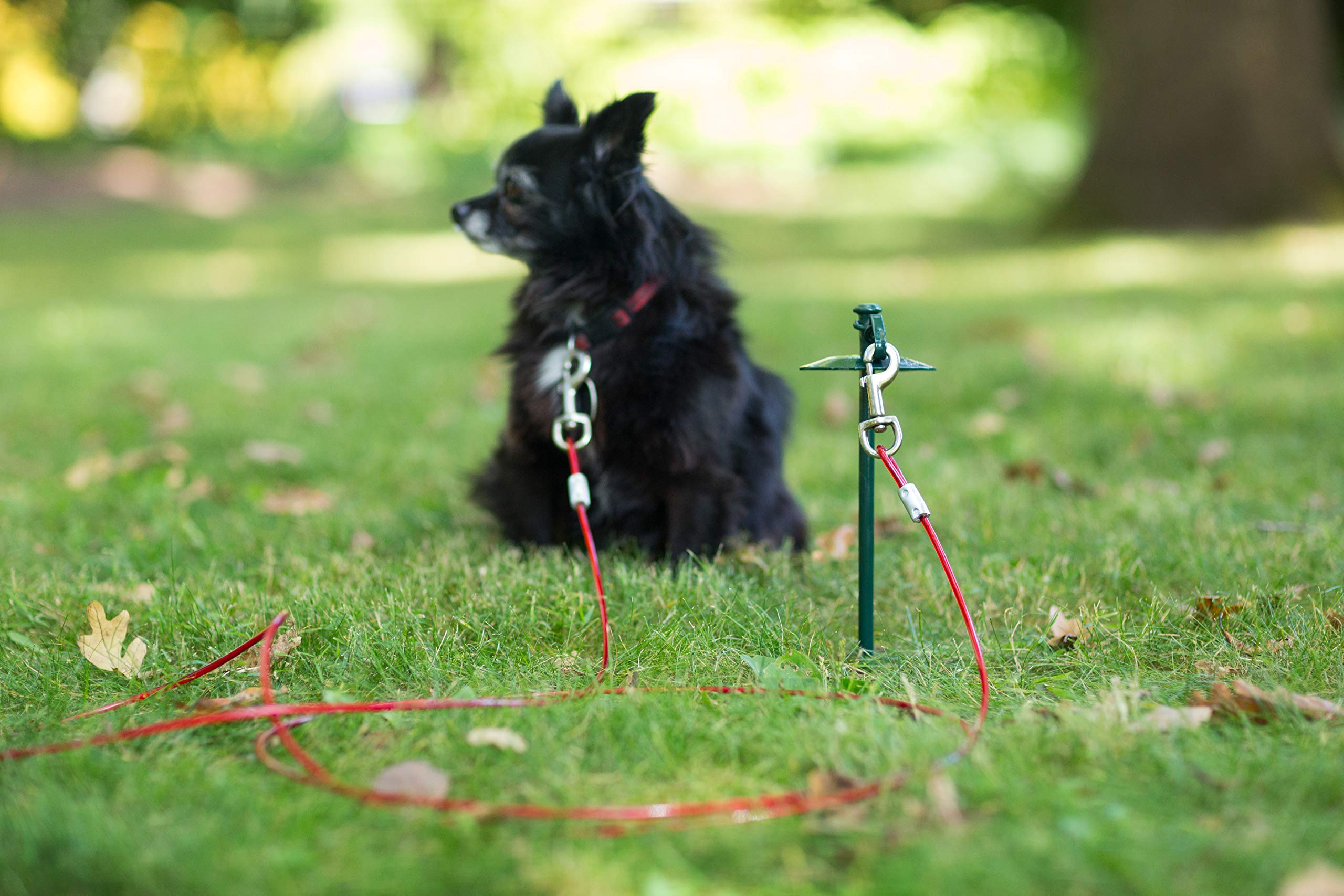 Prevue Pet Products 2123 Medium-Duty 24' Dome Tie-Out Stake With 12' Cable