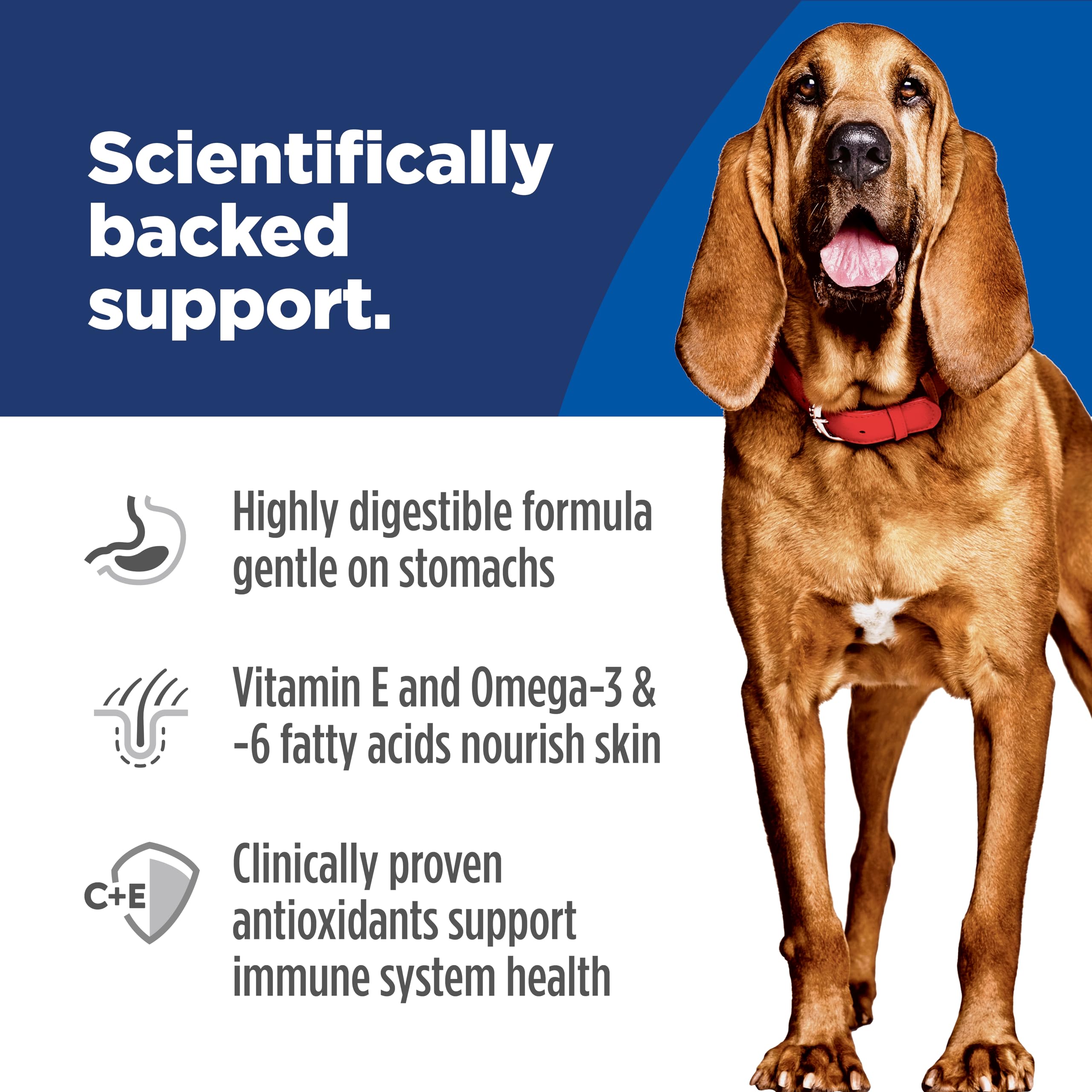 Hills Science Diet Sensitive Stomach & Skin, Adult 1-5, Large Breed Stomach & Skin Sensitivity Support, Dry Dog Food, Chicken R