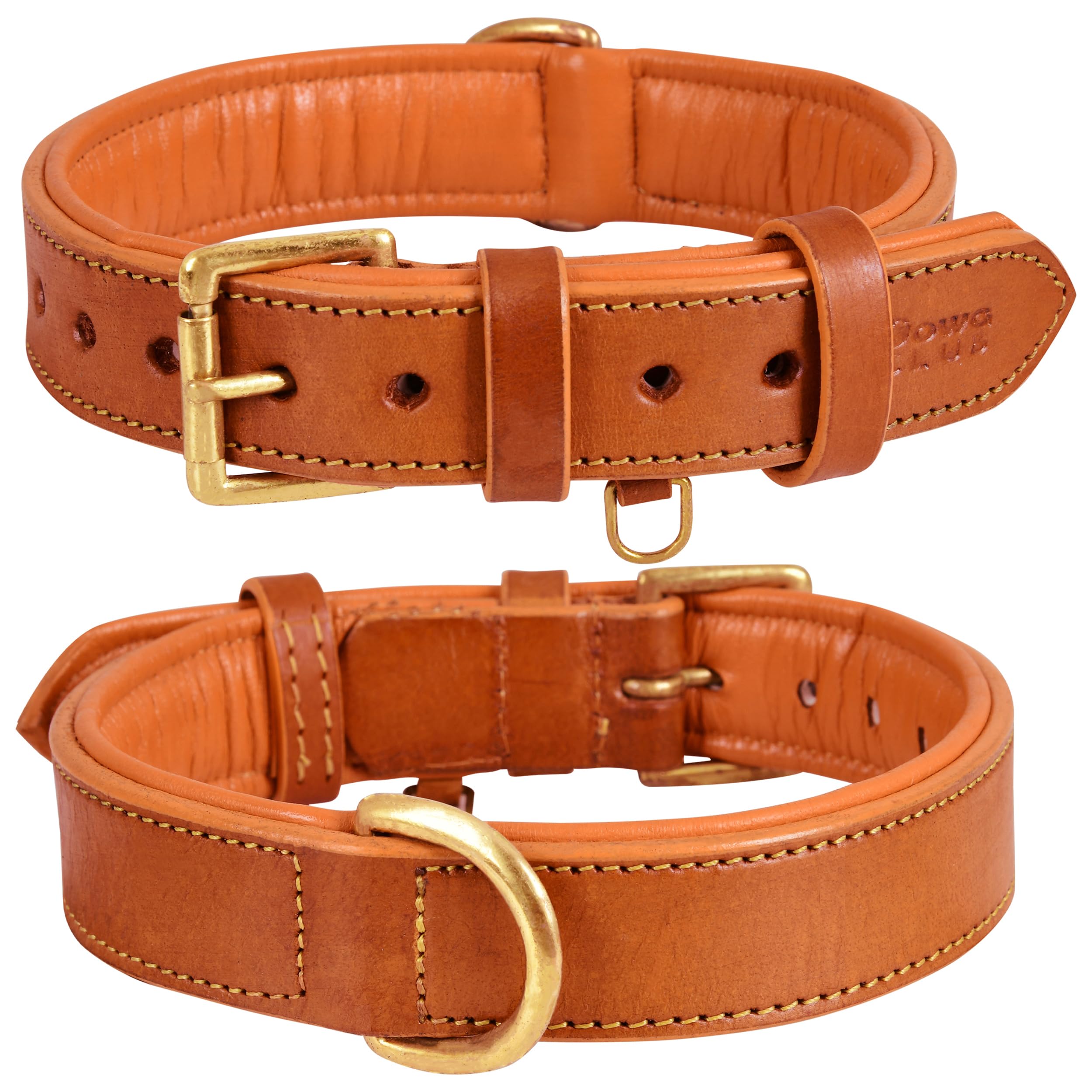 Dowgclub | Genuine Leather Dog Collar | Full Grain, Heavy Duty | Comfortable, Padded, Strong | Best For Pups, Small, Medium, Lar