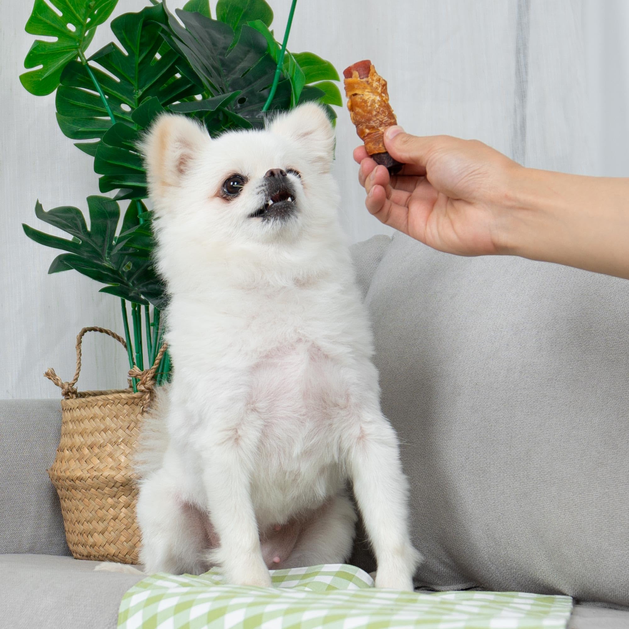 MON2SUN Rawhide Free Dog Treats, 3 Inch Triple Flavor Chicken Wrapped Duck and Beef Rolls for Small Dogs, Healthy Snacks, 13.23o