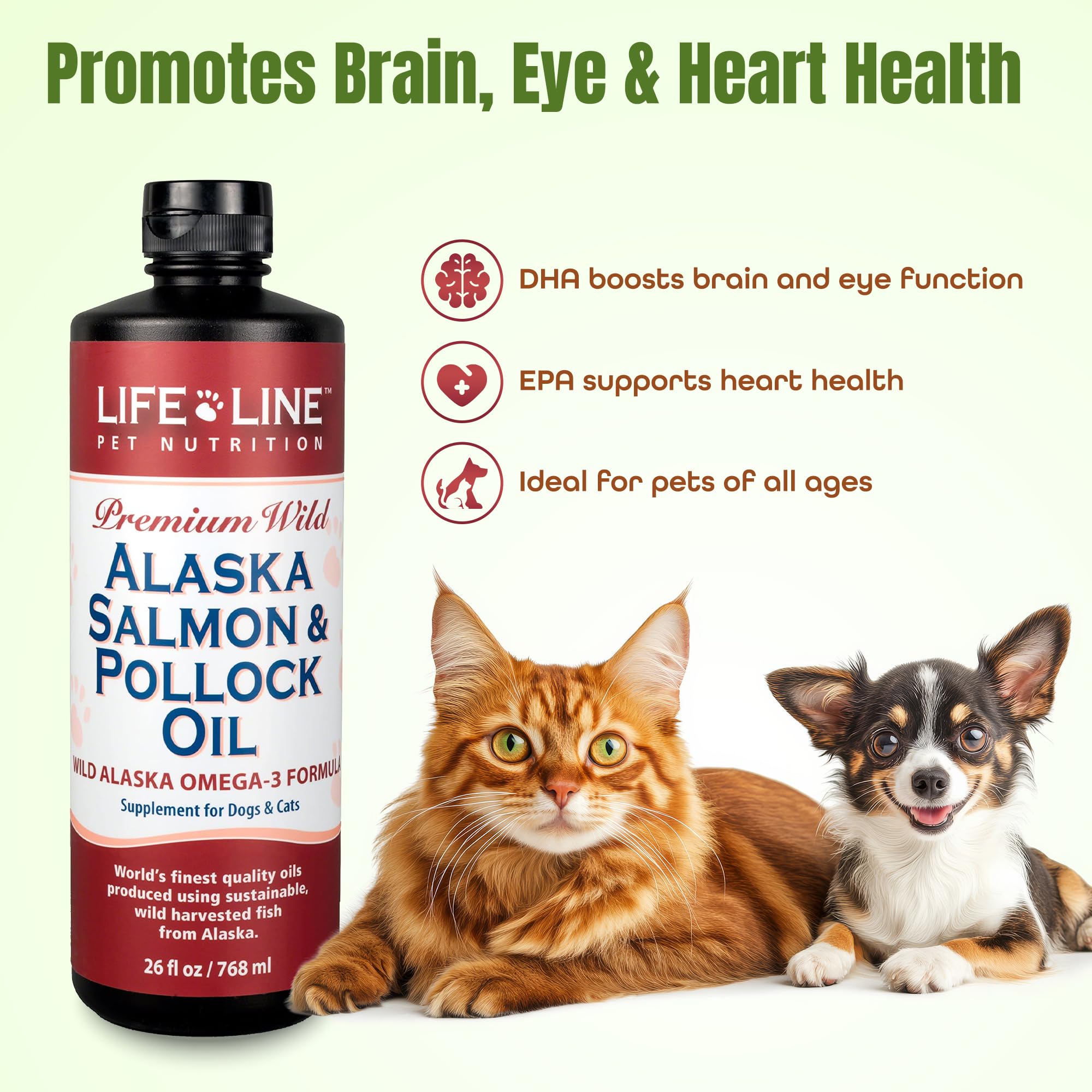 Wild Alaska Omega-3 Formula 26oz