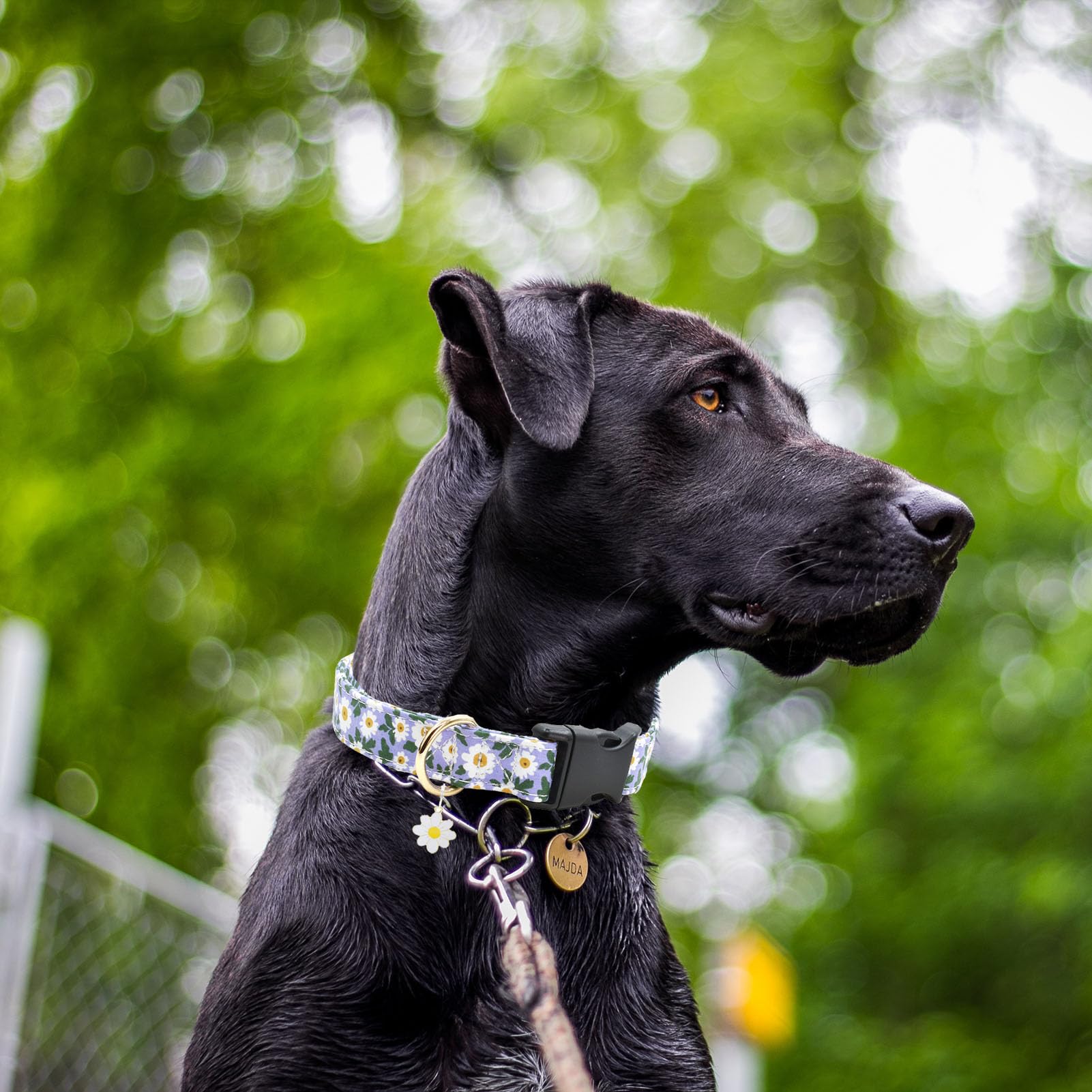 2 Pcs Cotton Dog Collar Soft Cute Flower -3 Sizes Soft Nylon Puppy Collar Adjustable For Girl Female Small Medium Large Dogs(01-