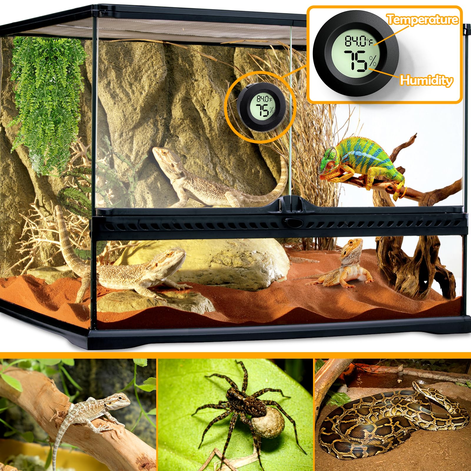 Reptile Tank Accessories, 2 Pcs Reptile Thermometer And Humidity Gauge For Bearded Dragon, Jumping Spider, Leopard Gecko, Hermit