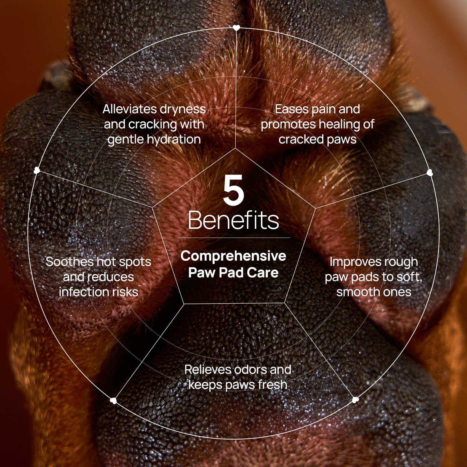 Hicc Pet Dog Paw Balm 0.53 Oz For Dogs & Cats, Soothing Paw Balm Dogs Lick Safe, Moisturizing And Healing Dry Cracked Paws Cat P