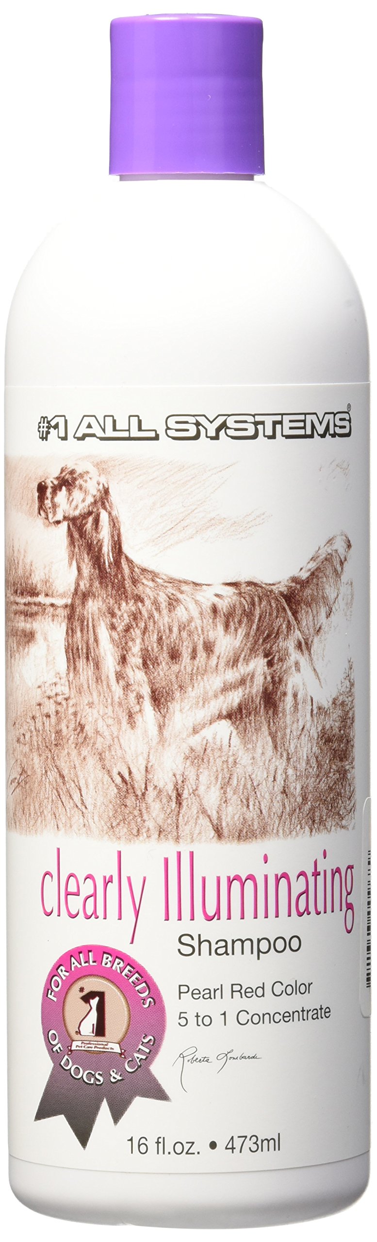 #1 All Systems Clearly Illuminating Shampoo-16Oz