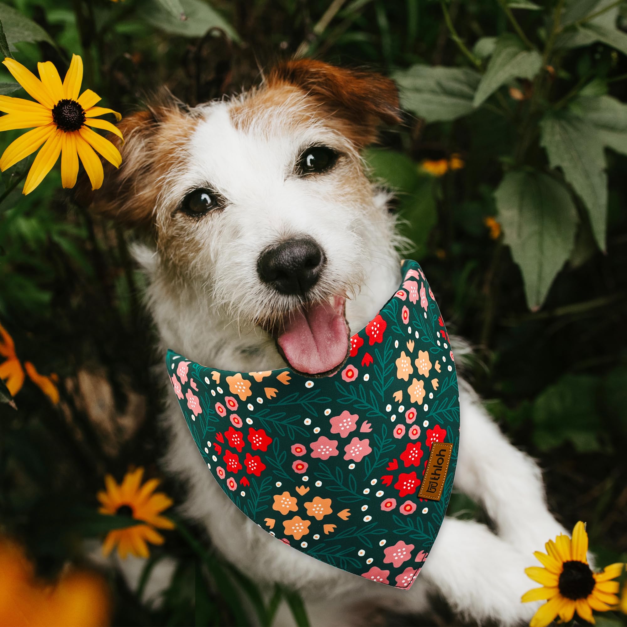 Thloh Spring Dog Bandanas - 2 Pack Floral Dog Scarf For Boy & Girl, Premium Durable Fabric, Adjustable Fit, Gift For Dogs, Daisy
