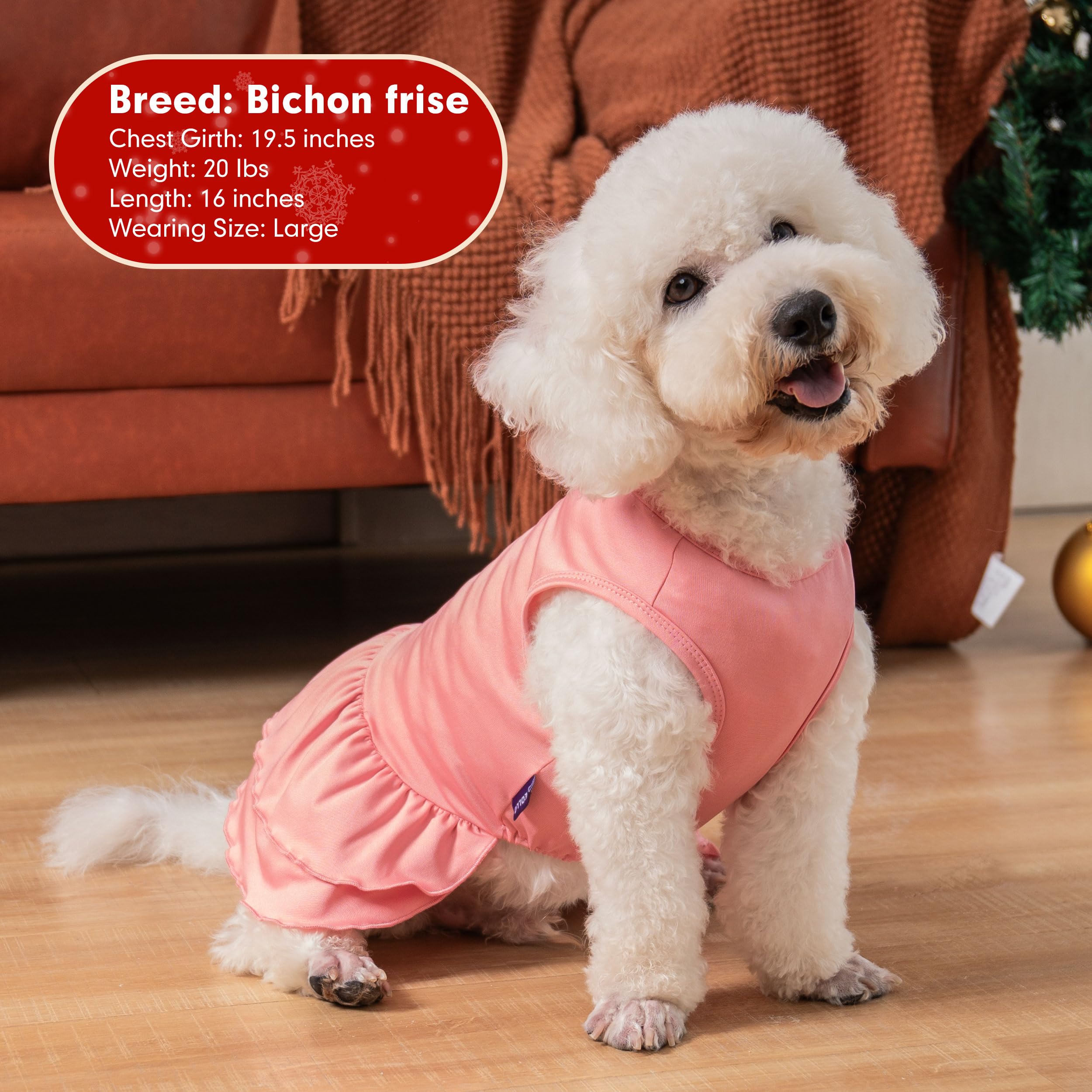 Cyeollo 2 Pack Dog Dresses - Soft, Breathable Holiday Dog Clothes - Girl Snowman Outfit, Xl