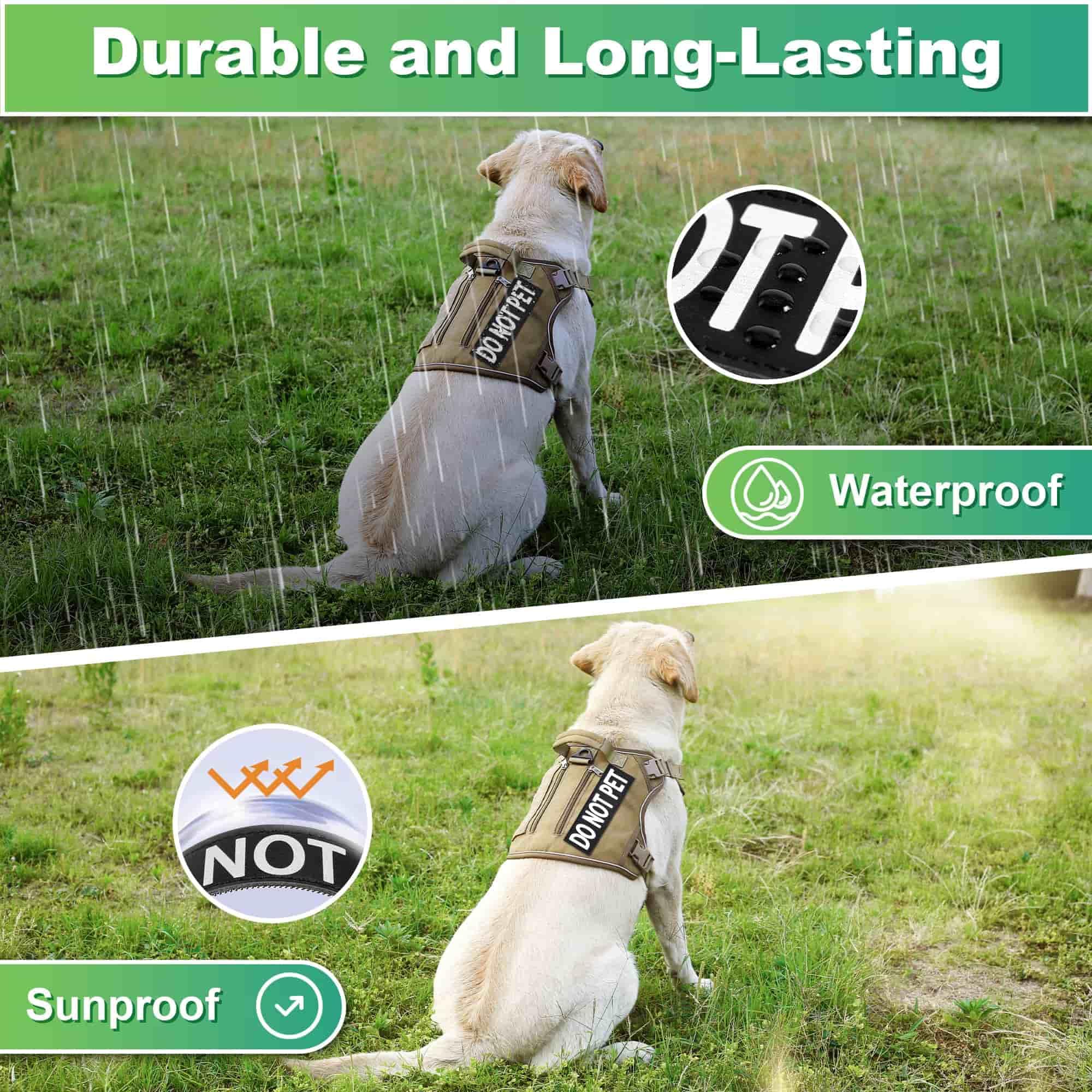 Pawistapal 6-Pack Service Dog Patches, Removable Do Not Pet Patch For Harness Vest Or Collar, In Training Patches With Hook And