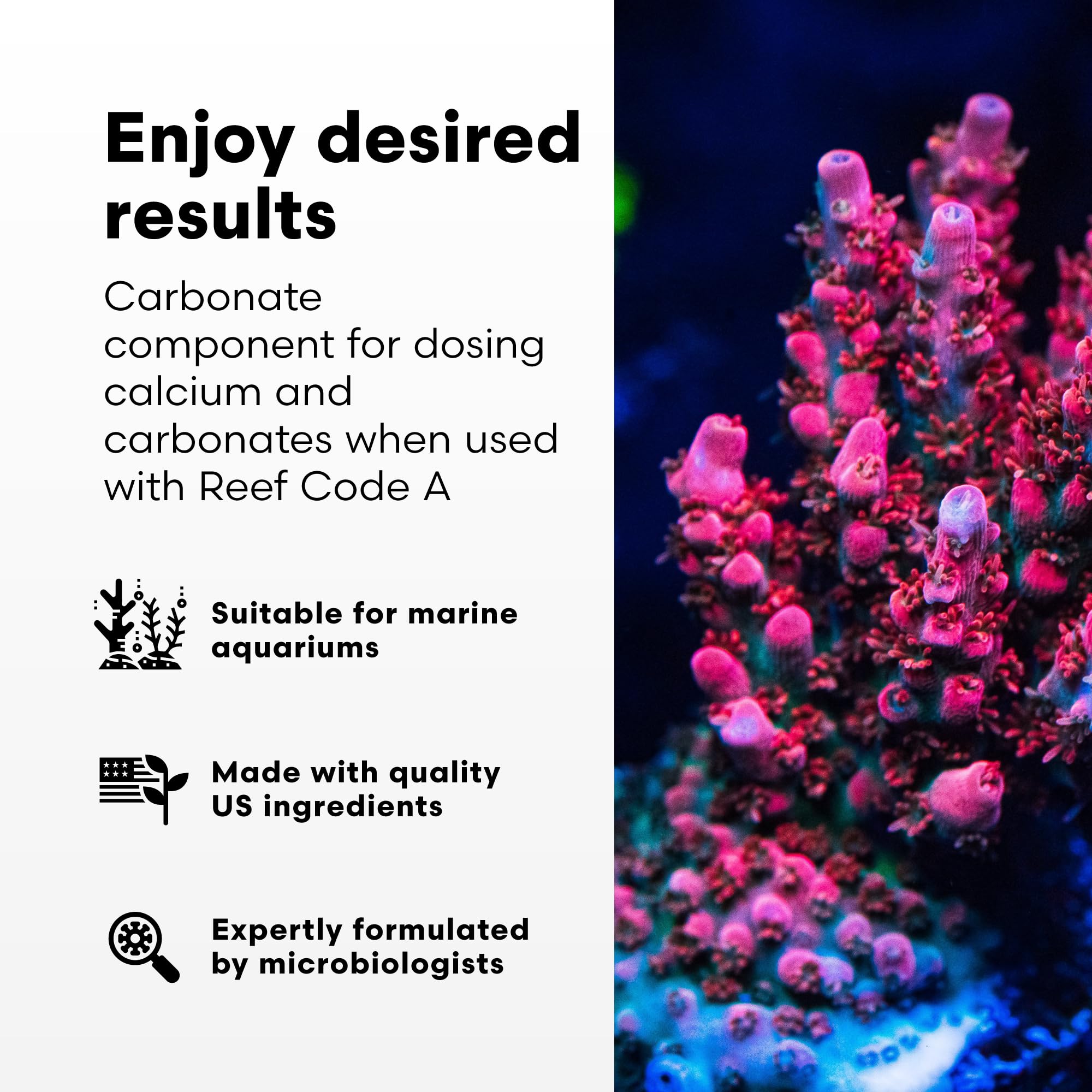 Brightwell Aquatics - Reef Code B - Balanced Calcium & Alkalinity System Water Conditioner - for All Saltwater Marine Fish & Ree