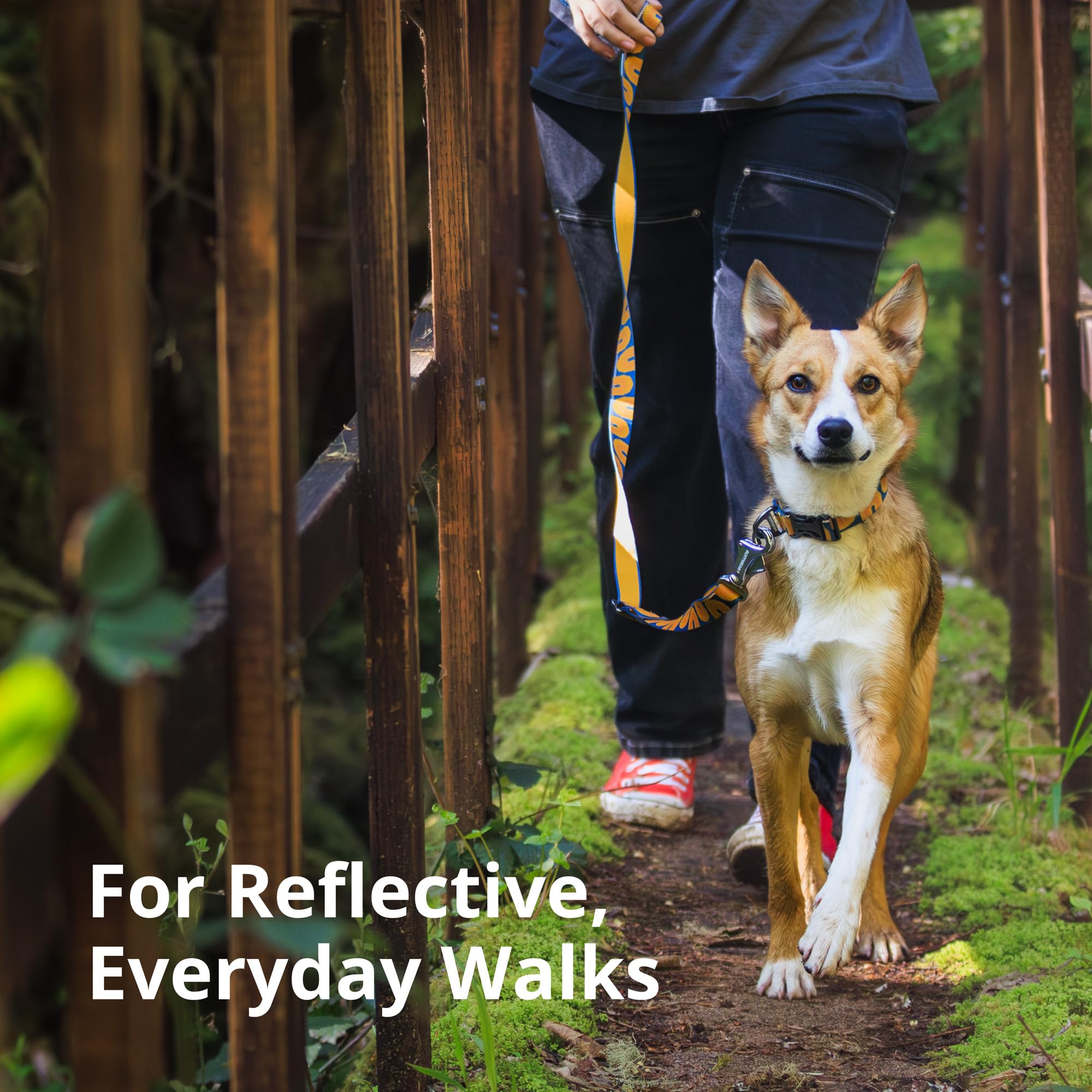 Ruffwear, Crag Dog Collar, Reflective And Comfortable Collar For Everyday Use, Midnight Wave, 11''-14''