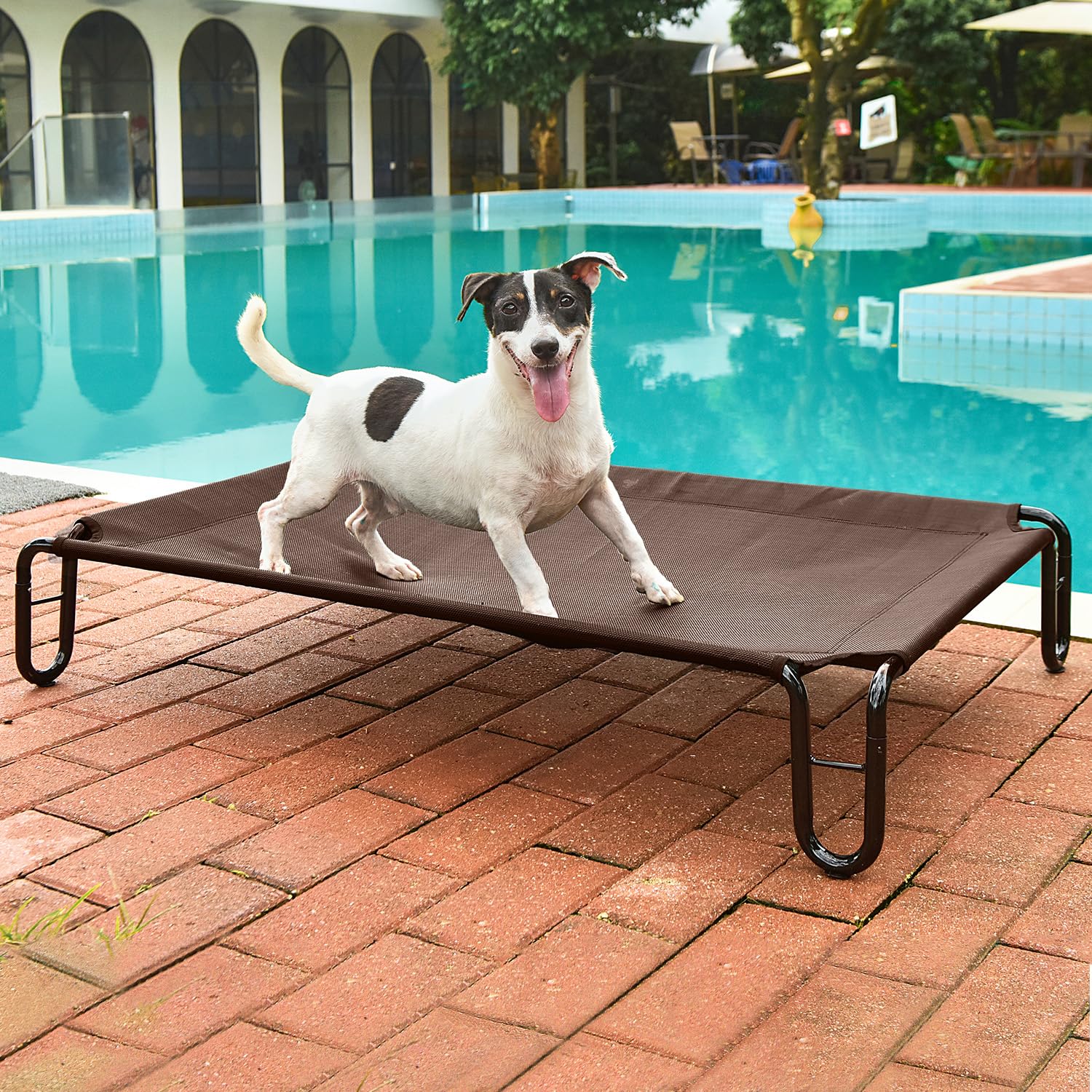 Pettycare Elevated Outdoor Dog Bed - Dog Cots Beds For Small Dogs, Waterproof Raised Dog Bed Easy To Assemble, Cooling Elevated Dog Bed With Teslin Mesh, Durable, Non Slip, Up To 35 Lbs,Brown