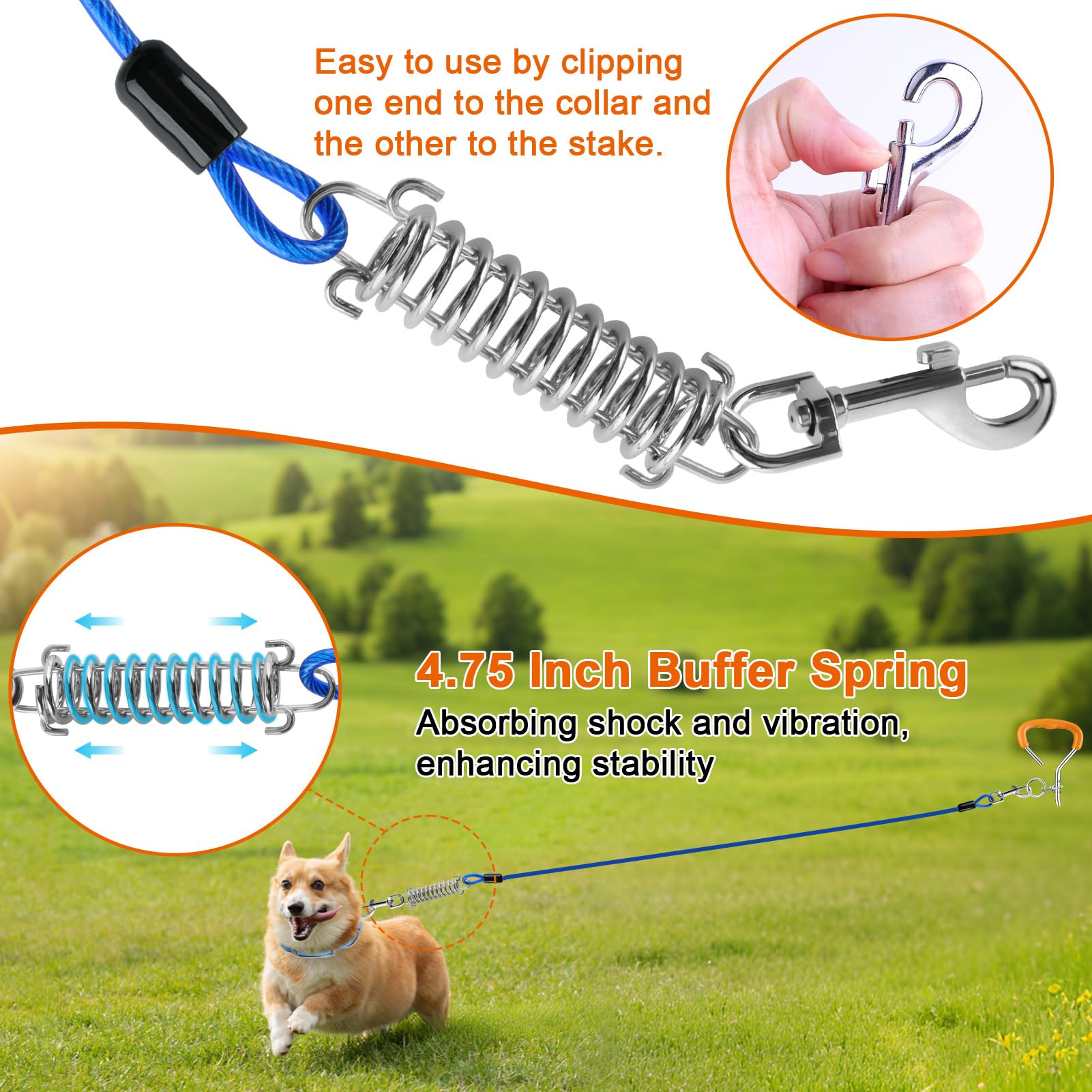 LANNEY Dog Tie Out Cable and Stake, 30ft Leash Chain Lead with Swivel Hook and Shock Spring for Yard Outside Camping, 16 inch He