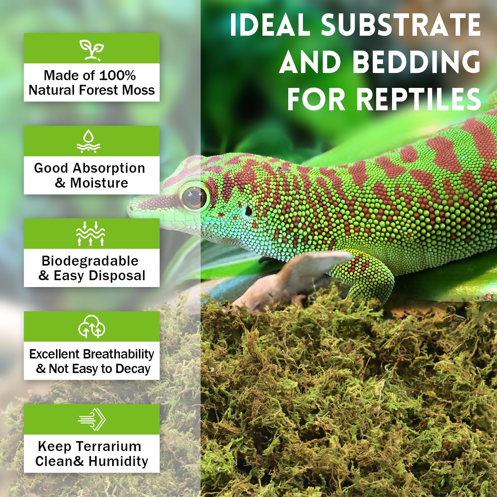 Riare Premium Sphagnum Moss for Reptiles - 3.5 OZ Natural Bedding for Terrariums, Snakes, Geckos, Turtles, Frogs