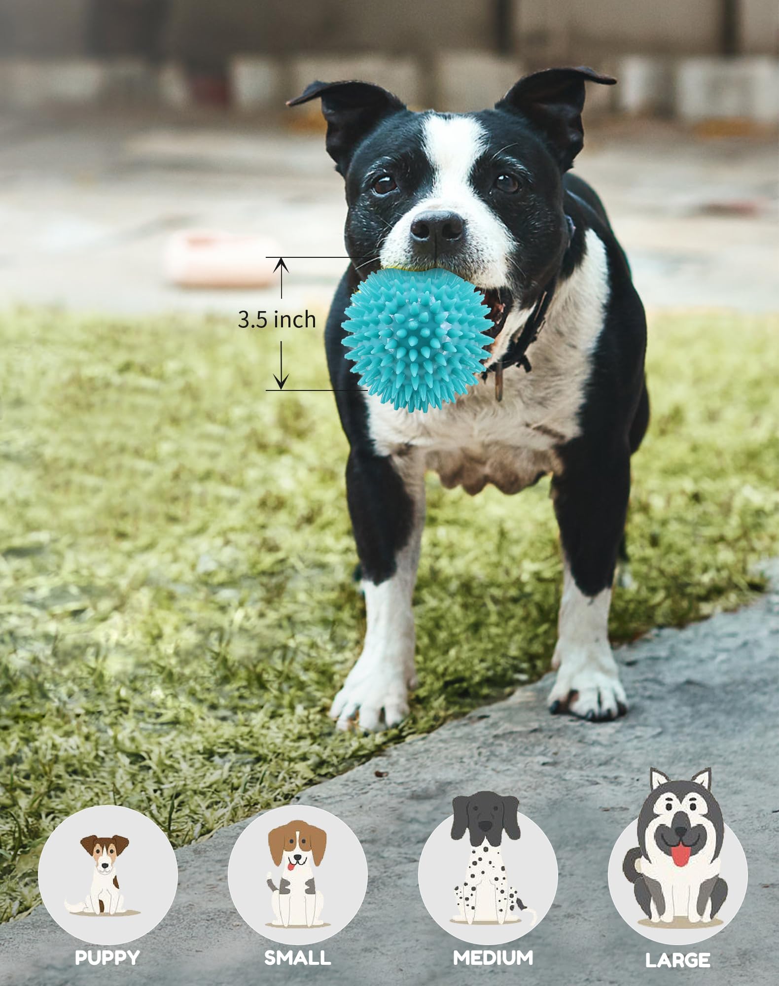 Pweituoet 3.5' Spike Dog Balls - Squeaky, Durable Dog Chew Toys; 2-Pack Cleans Teeth, Trains Puppies To Adults; Perfect For Aggr
