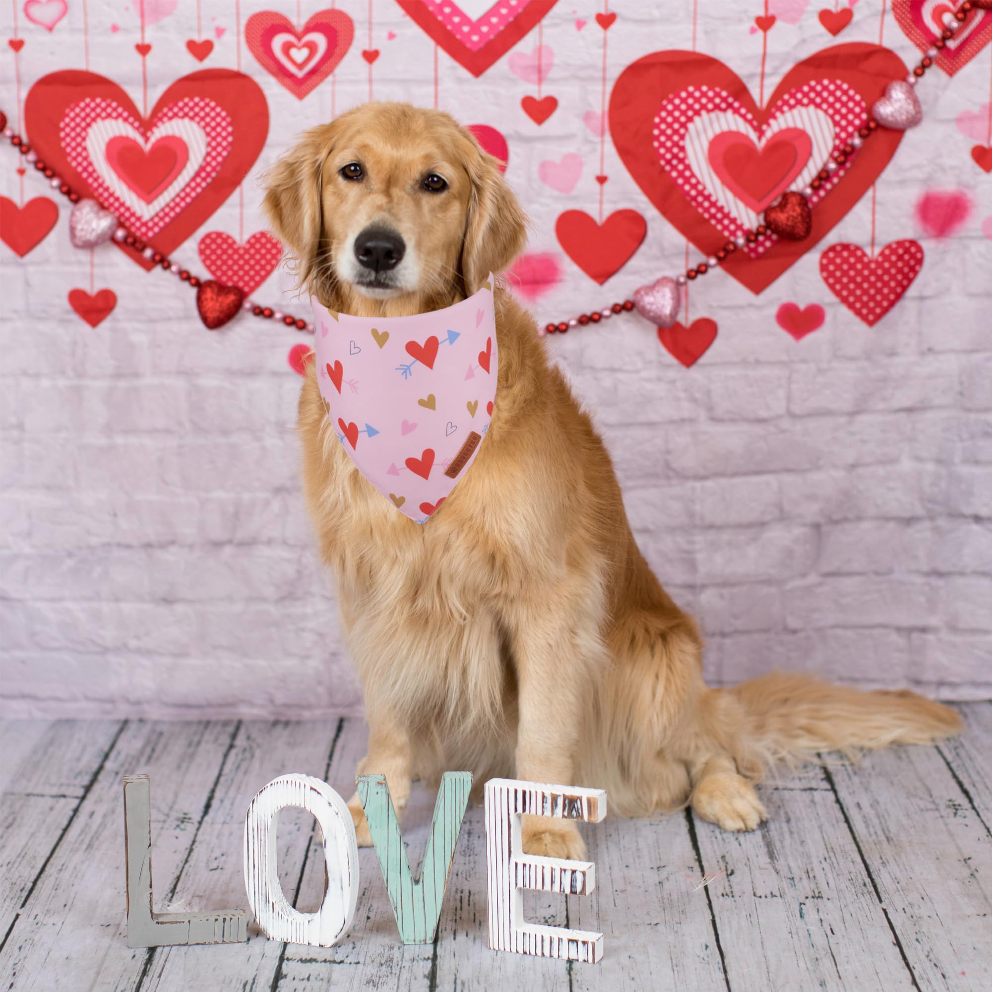 ADOGGYGO Valentine Dog Bandana, Blue Pink Heart Pet Scarf, Premium Durable Fabric, Adjustable Fit Pet Valentine Bandanas for Lar