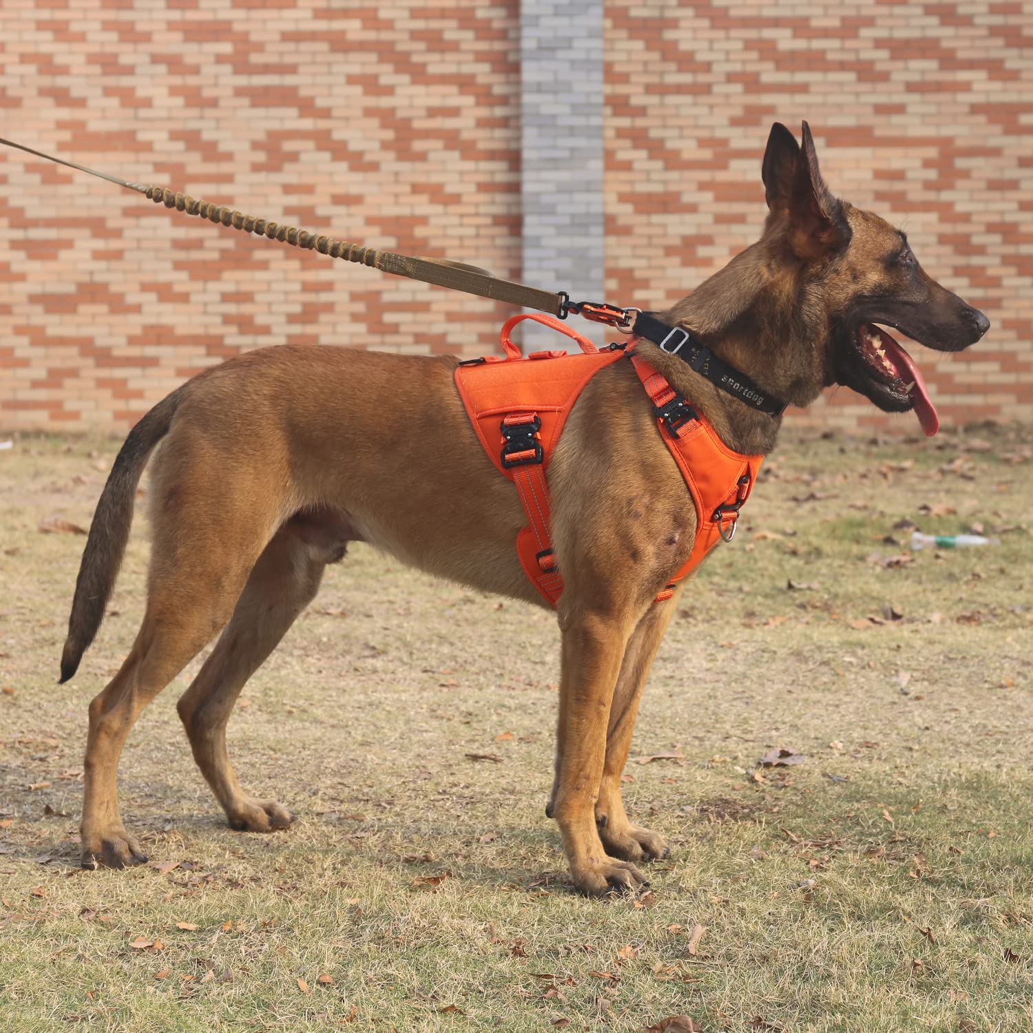 Icefang Gn8 Quick-Moving Tactical Dog Harness With Handle,Reflective In Training Walking K9 Vest,No-Pull Front Lead,5-Points Adjustable,Hook And Loop Panels (Elite Orange, X-Large (Pack Of 1))