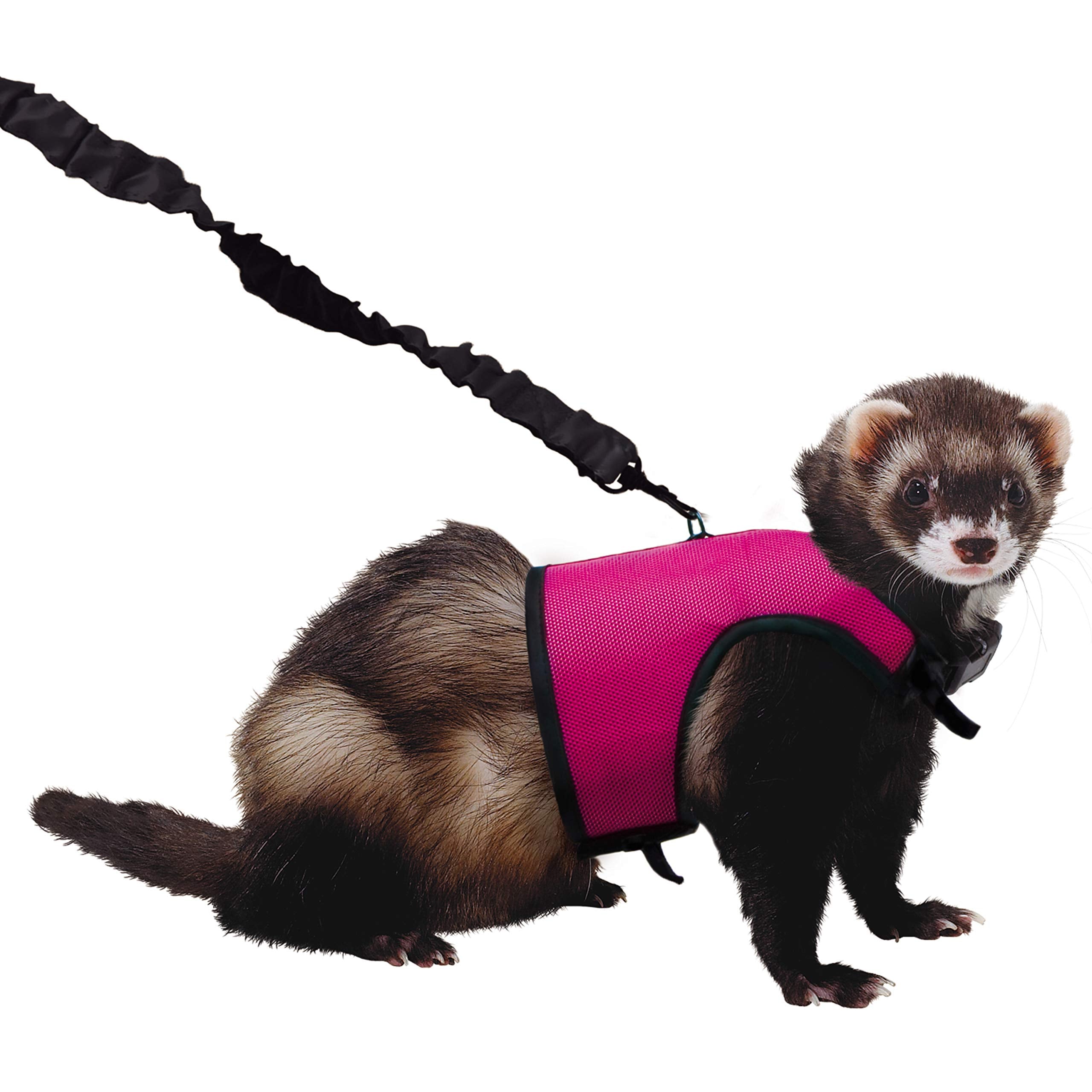 Kaytee Comfort Harness & Stretchy Leash, Medium