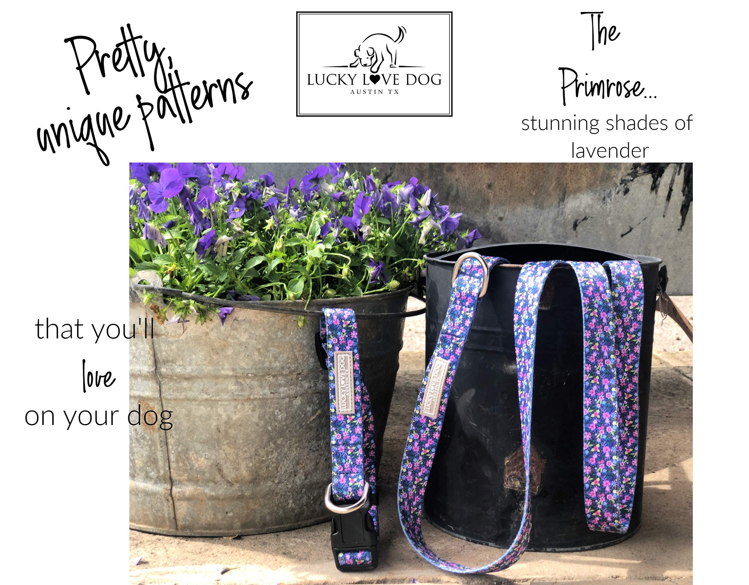 Lucky Love Dog, Comfortable, Soft, Cute Female Dog Collar For Small Dogs, Black & Purple Floral Print, Adjustable Nylon Collar, Primrose, Small