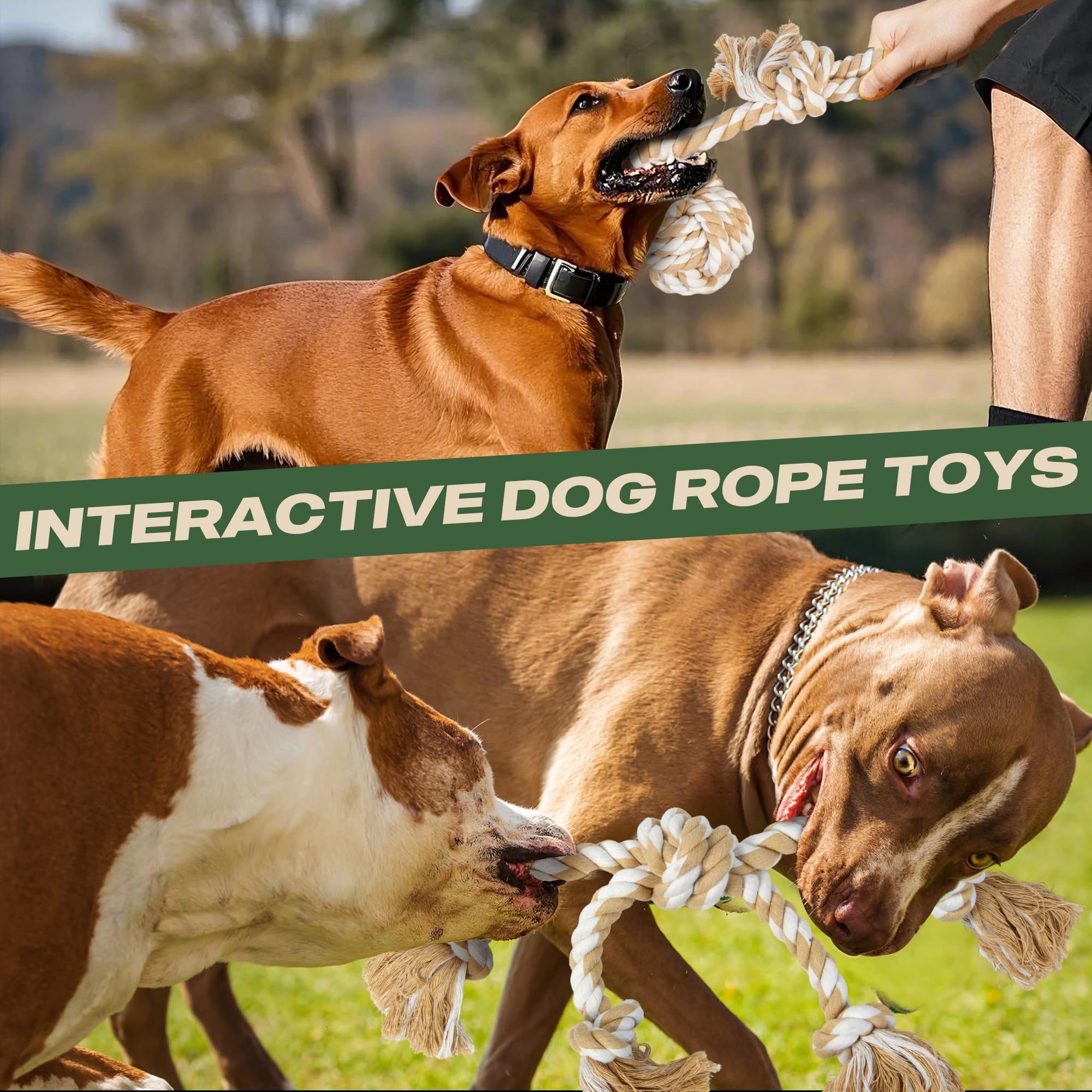 Twoear Dog Rope Toys For Large Breed Aggressive Chewers, 4 Pack Indestructible Natural Cotton Rope Chew Toys For Large/Medium Do