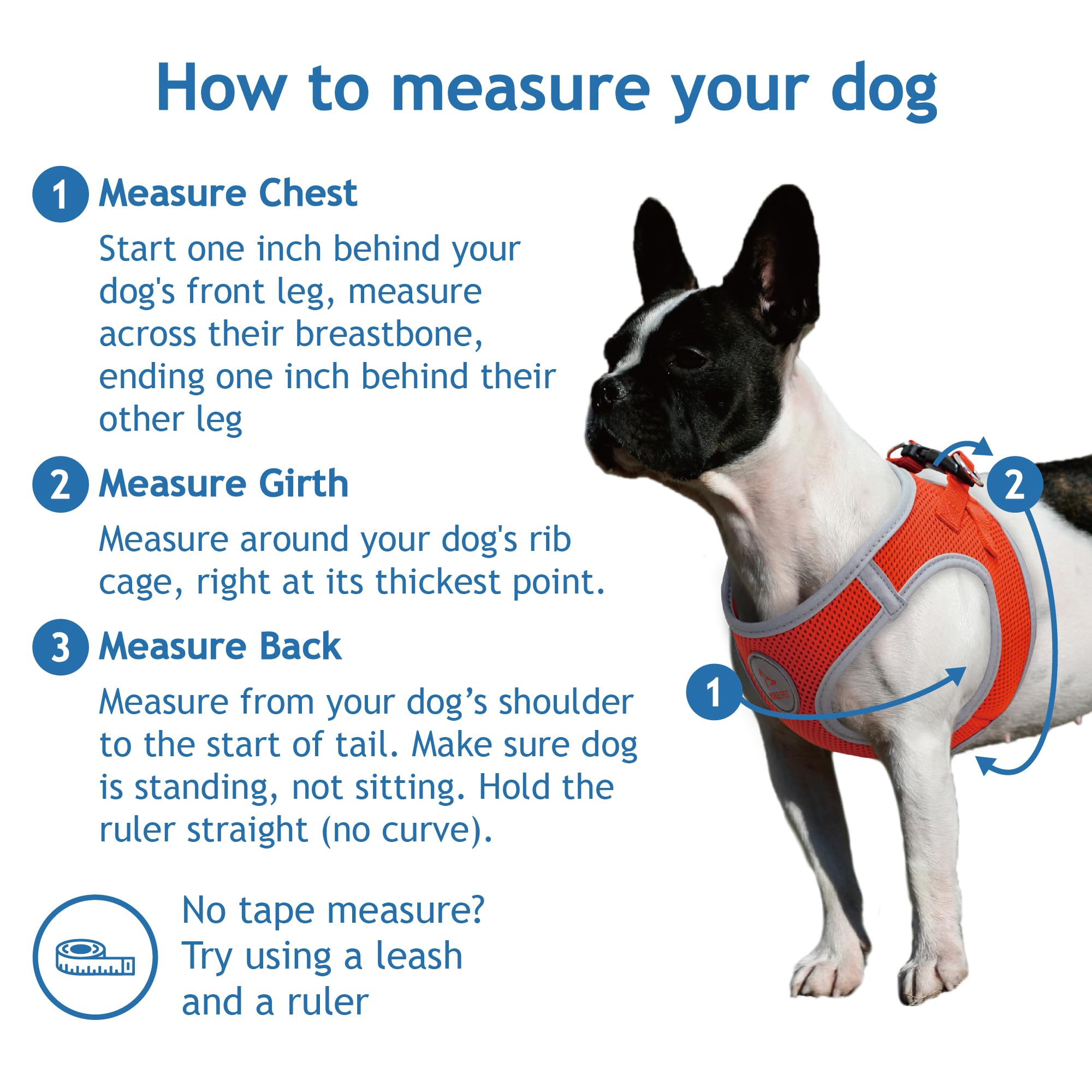 DOCO Dog Harness (Chest 20.5-22, Weight 20-25 lbs) Athletica Adjustable Heavy Duty No Choke Puppy Vest for Extra Large Dogs Ligh