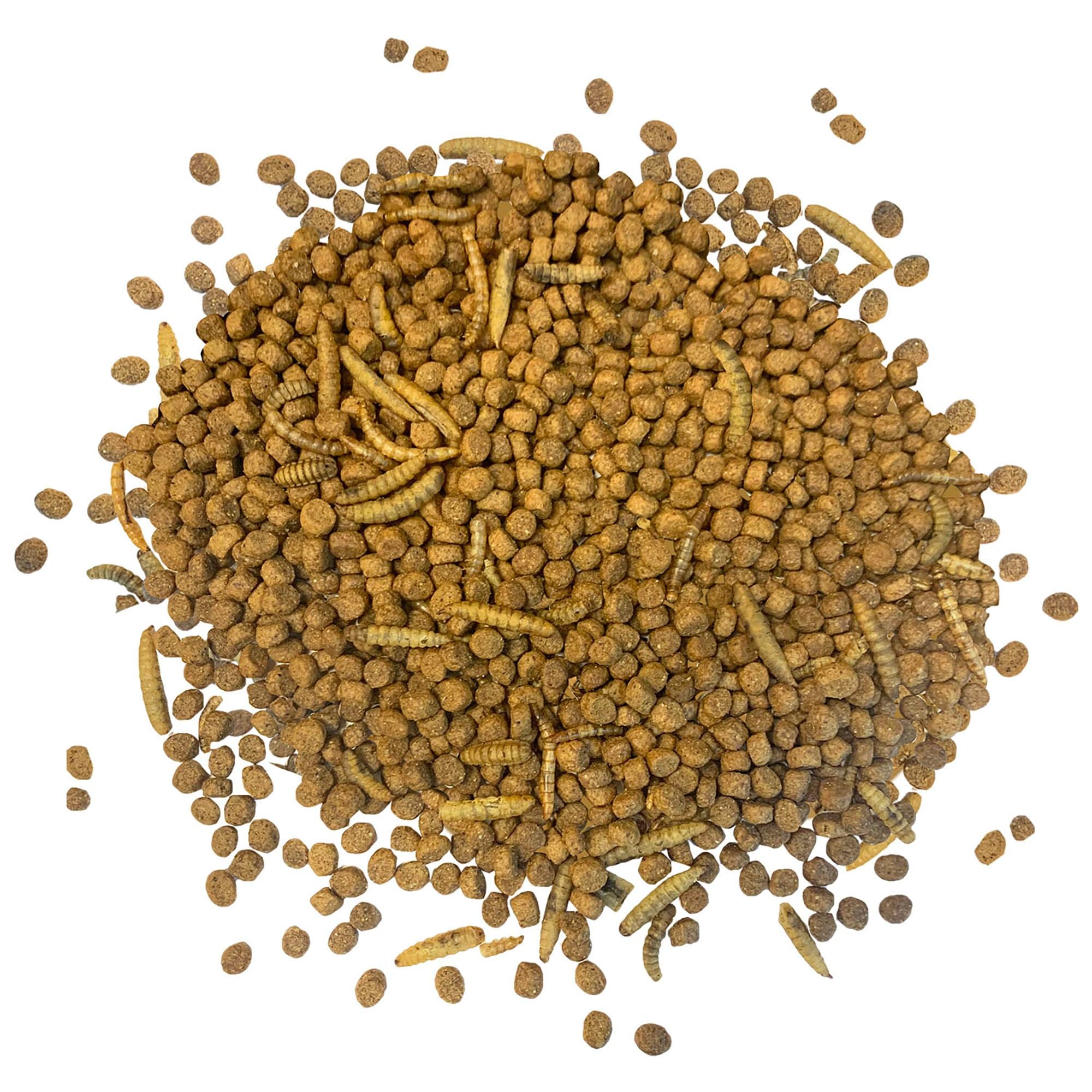 Exotic Nutrition Hedgehog Essential - Chicken Kibble with Mealworms (6 Pound)