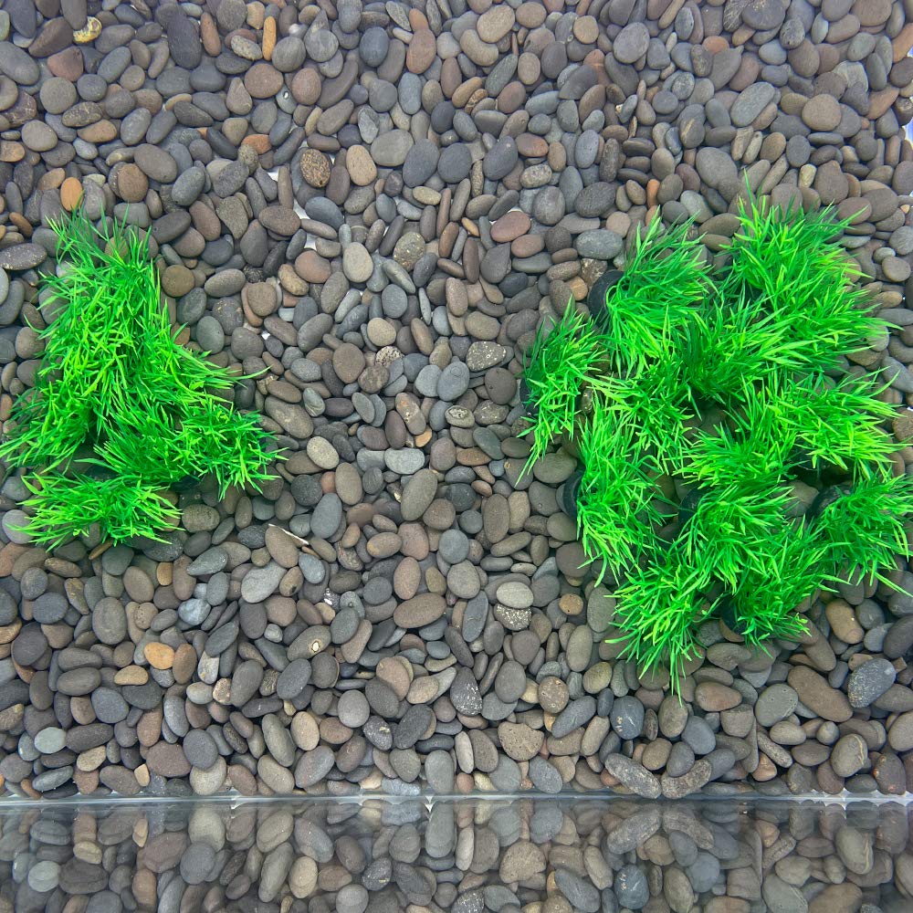 Smoothedo-Pets Aquarium Plants Fish Tank Decorations 20Pcs Small Size/1Inch Tall Plastic Artificial Plant Goldfish Waterscape Fish Hides Mini Grass Set (Green-C)
