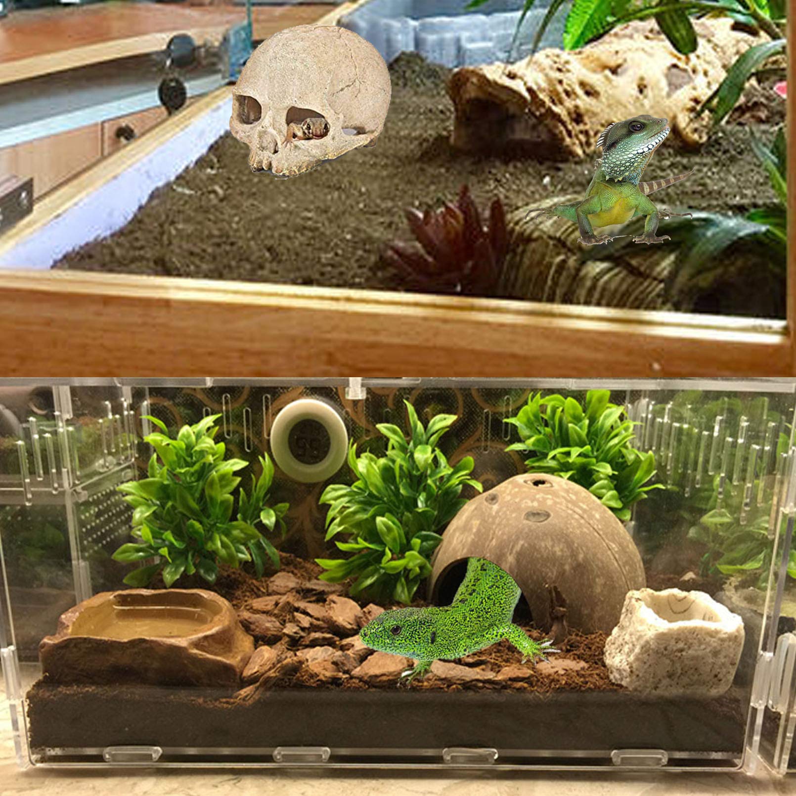 PINVNBY Bearded Dragon Tank Accessories,Reptiles Resin Human Skull Habitat Decor,Lizard Hammock Coconut Shell Hut Hideouts Cave