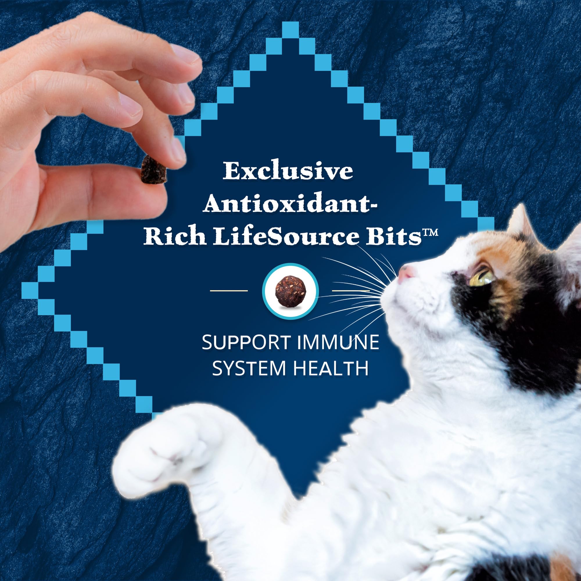 Blue Buffalo Wilderness Adult Dry Cat Food, Rocky Mountain Recipe, Chicken-Free & Grain-Free Recipe Made with Natural Ingredient