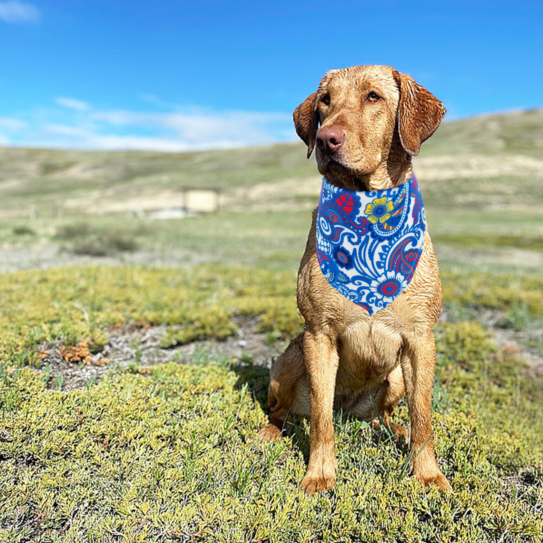 Pai Sence 7 Pcs Paisley Dog Bandanas For Large Dogs Breed 33 Inch Extra Large Polyester Dog Bandana Xl Scarves Party Grooming L