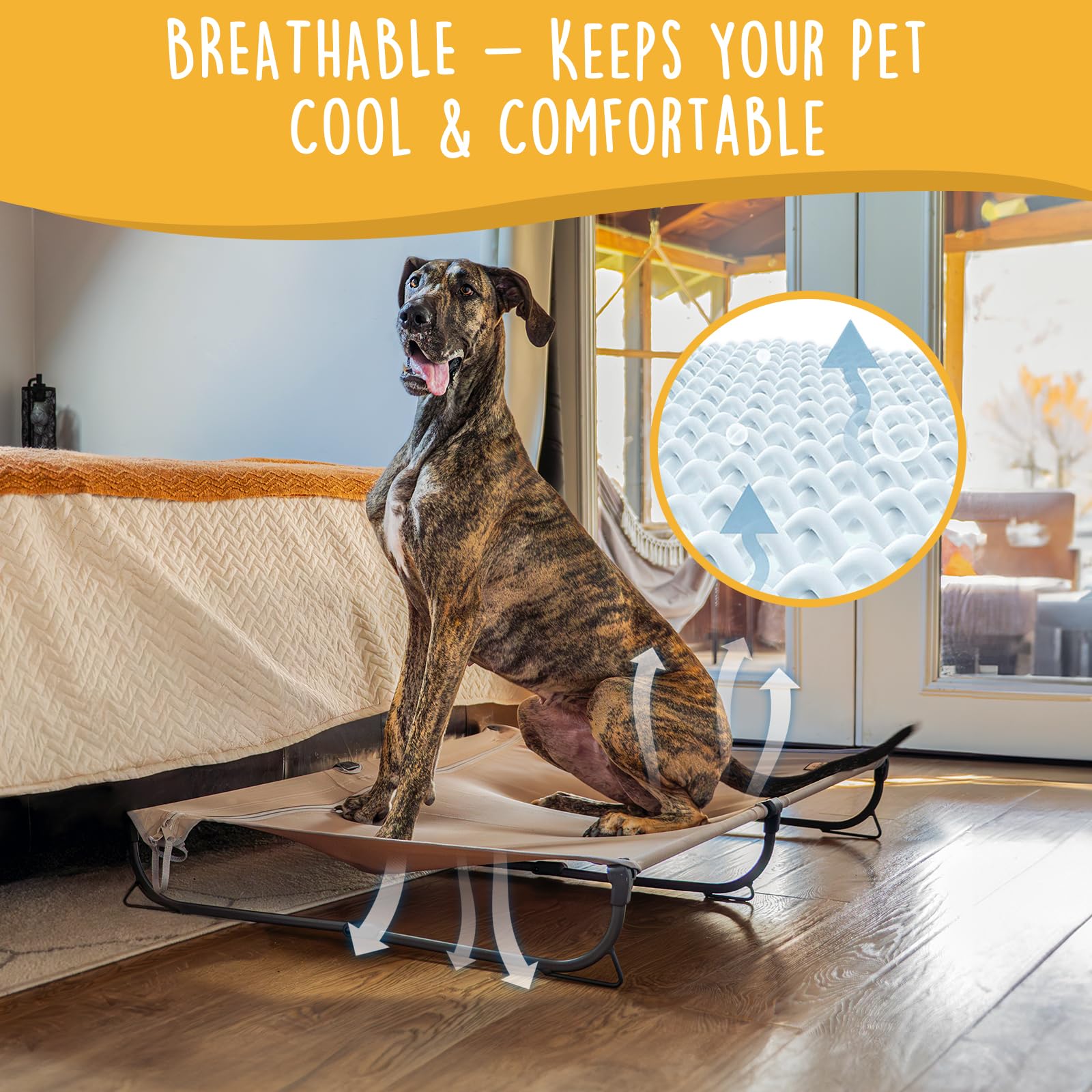 Canine Canyon Daisy Cot, Xl Foldable Elevated Dog Bed, Portable Raised Outdoor Folding Dog Cot, Cooling, Chew Proof, Waterproof,