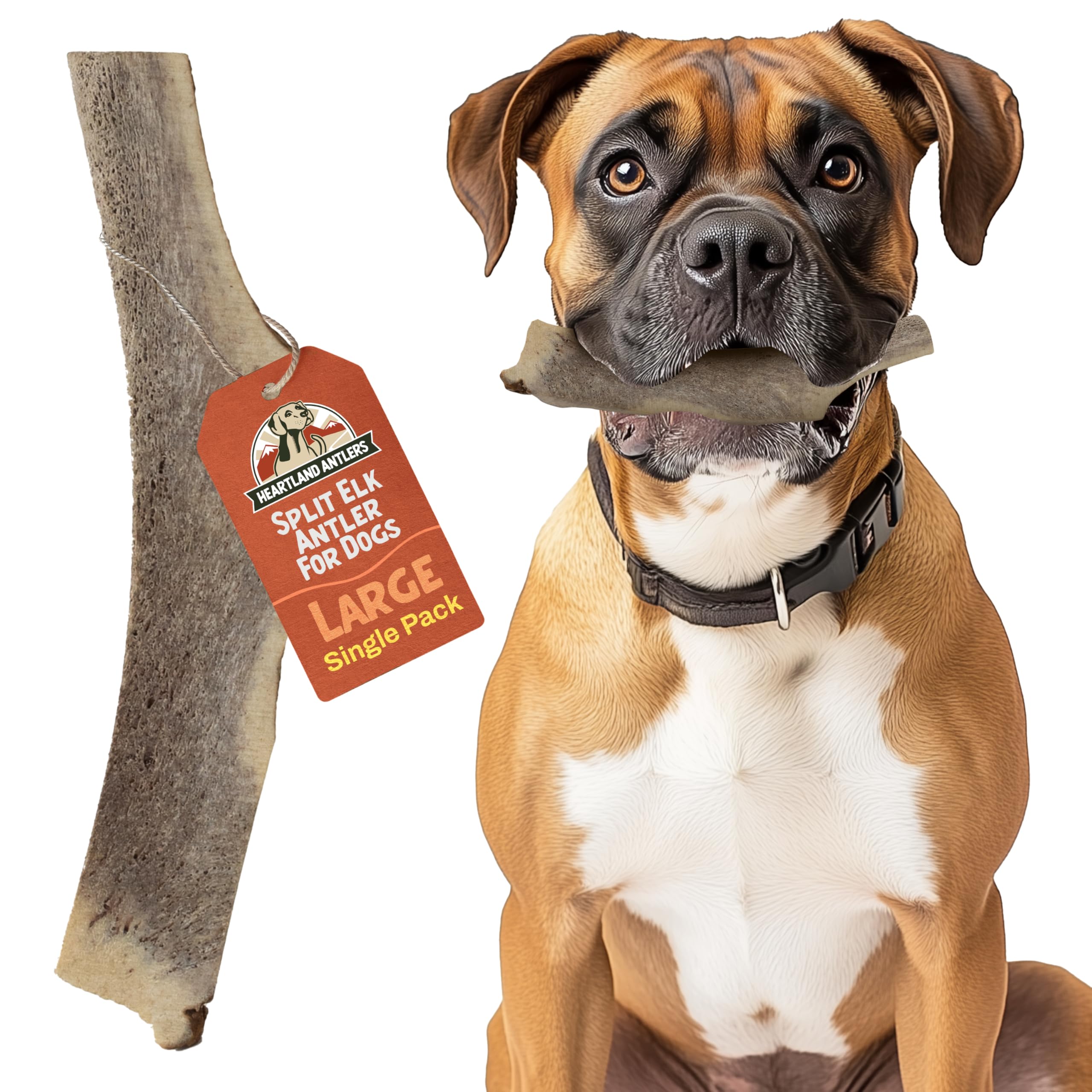 Heartland Elk Antlers for Dogs - Grade A, Naturally Shed Antlers | Dog Bones for Aggressive Chewers & Teething Puppies | All Bre