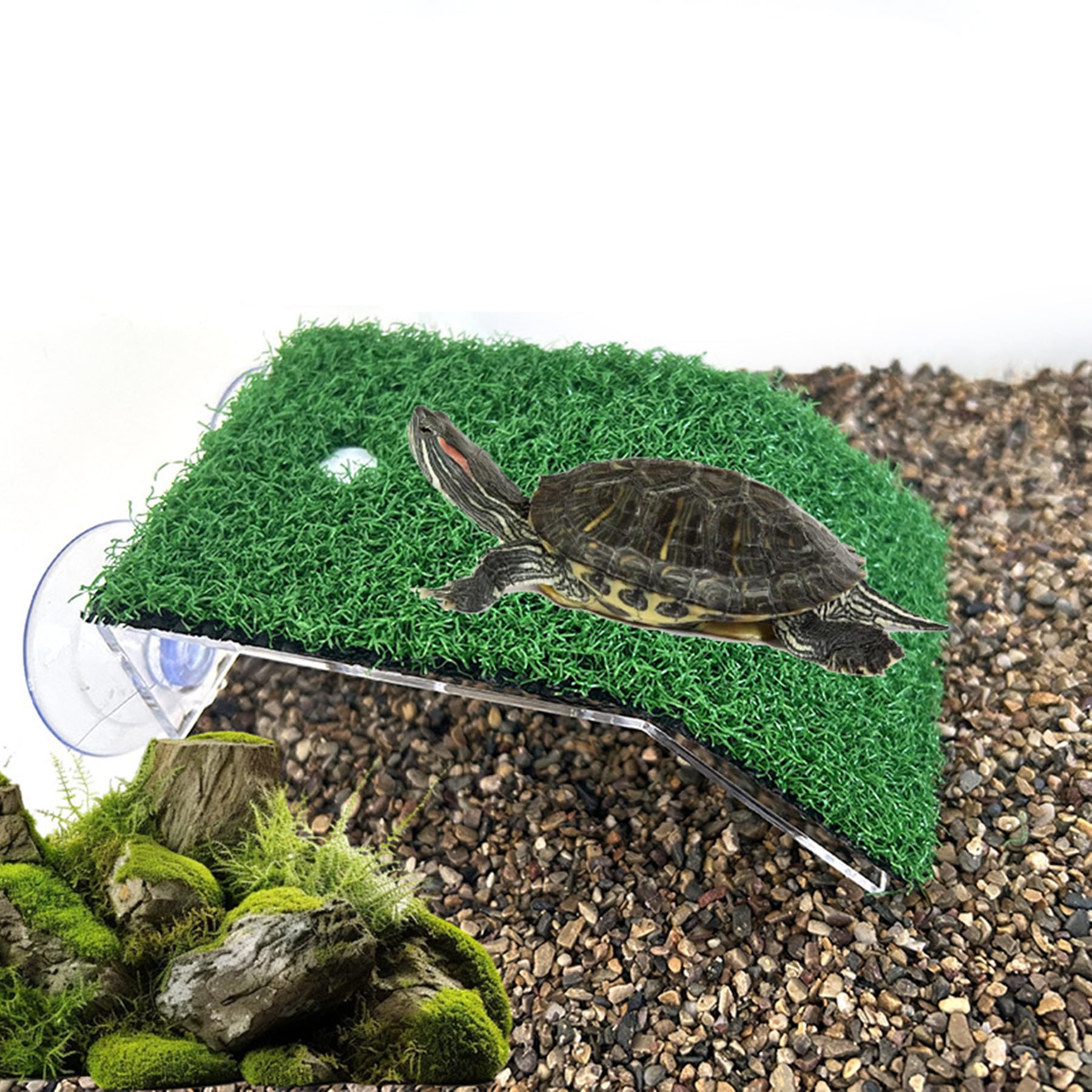 Lawn Turtle Basking Platform, Turtle Resting Basking Platform, Tortoise Ramp Climbing Reptile Ladder Resting Terrace Aquarium Floating Décor For Frog Terrapin Amphibian Habitat Hideouts (Medium)