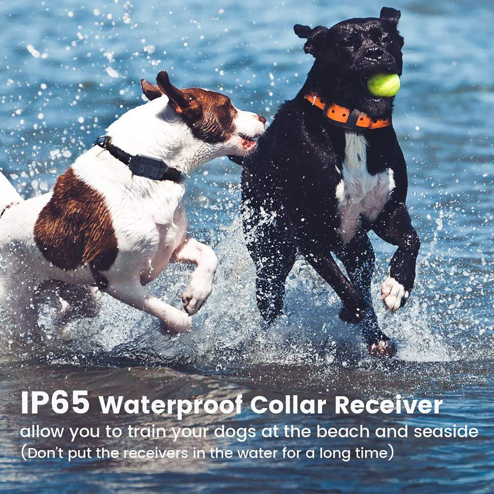Funnipets Dog Training Collar 2600Ft Range Dog Shock Collar With Remote For Small Medium Large Dogs Waterproof Electronic Dog Collar 4 Training Modes Light Shock Vibration Beep (2 Pack, Orange+Black)